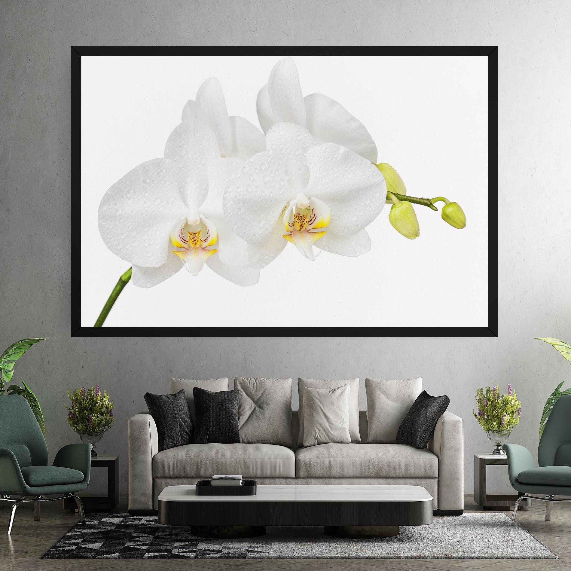 Leinwandbild Orchids On White mockup 7