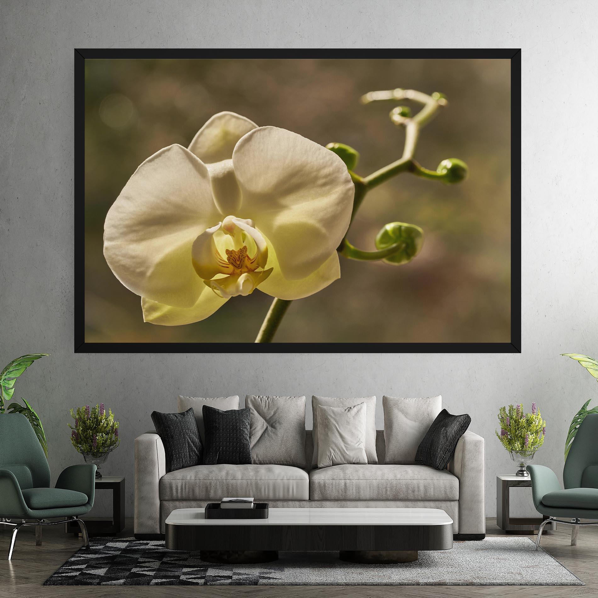Leinwandbild Pastel Yellow Orchid In Garden mockup 7