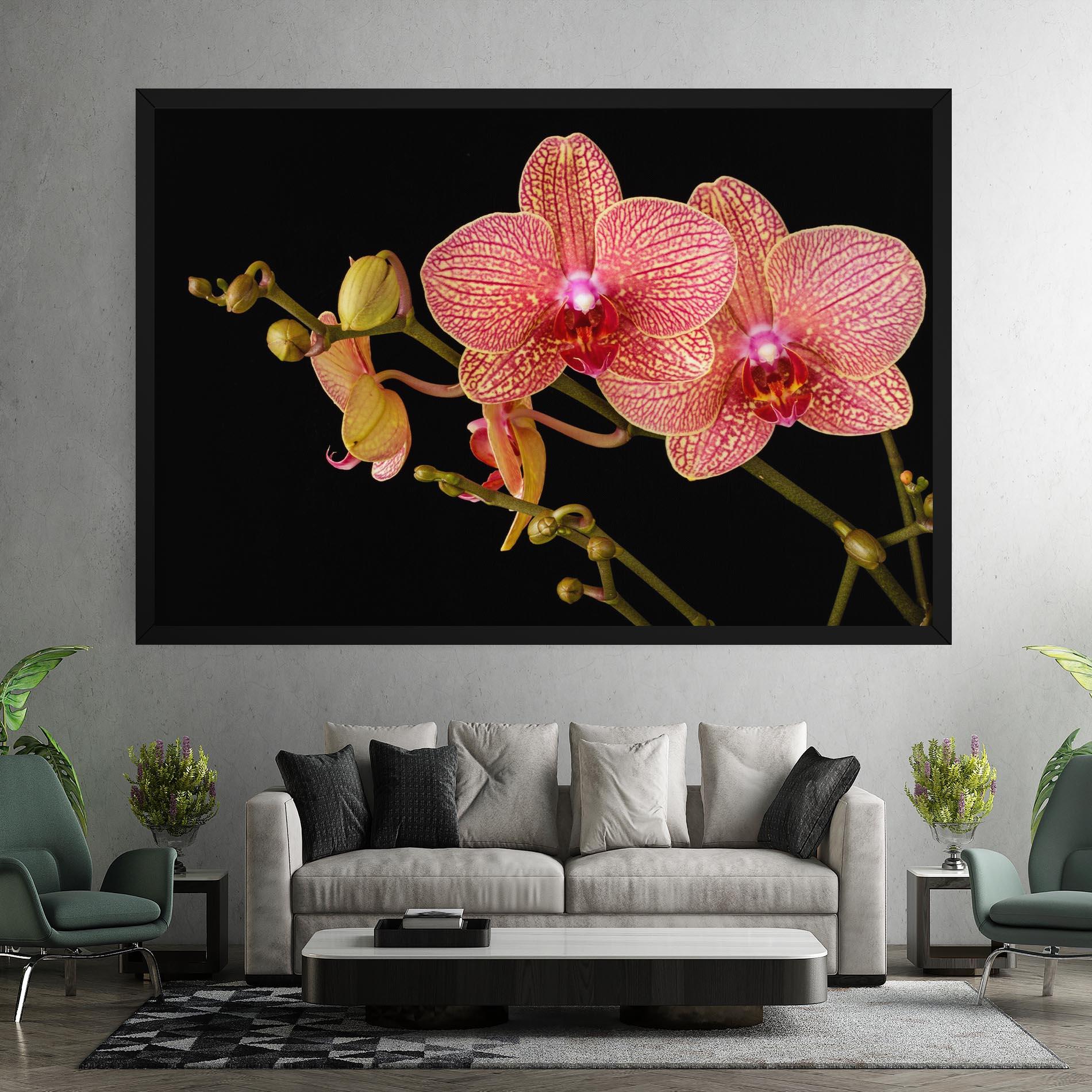 Leinwandbild Pink Orchids On Black mockup 7