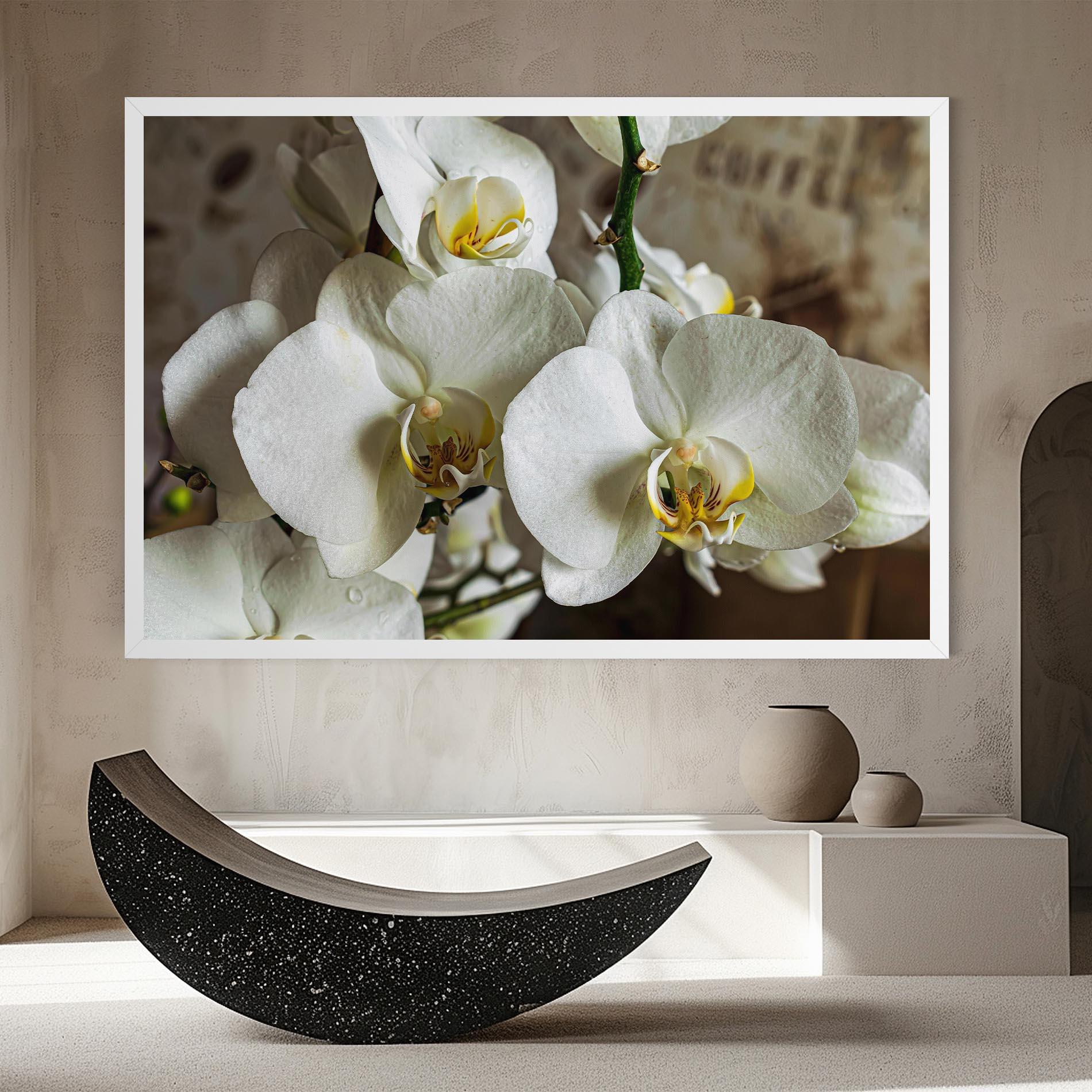 Leinwandbild Beautiful White Orchids mockup 8