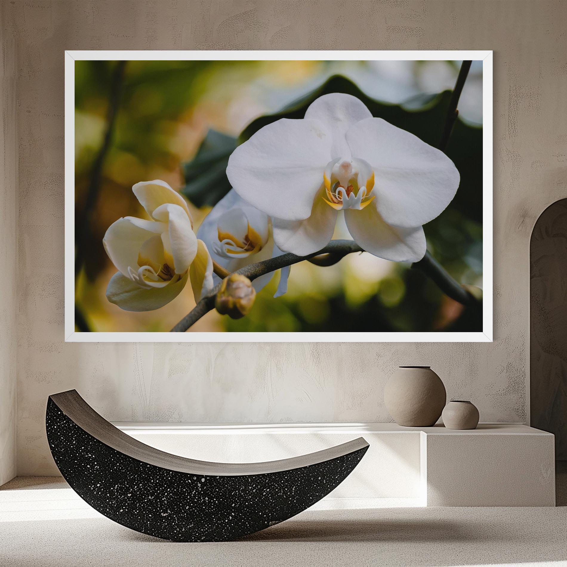 Leinwandbild Cream Orchid In Nature mockup 8