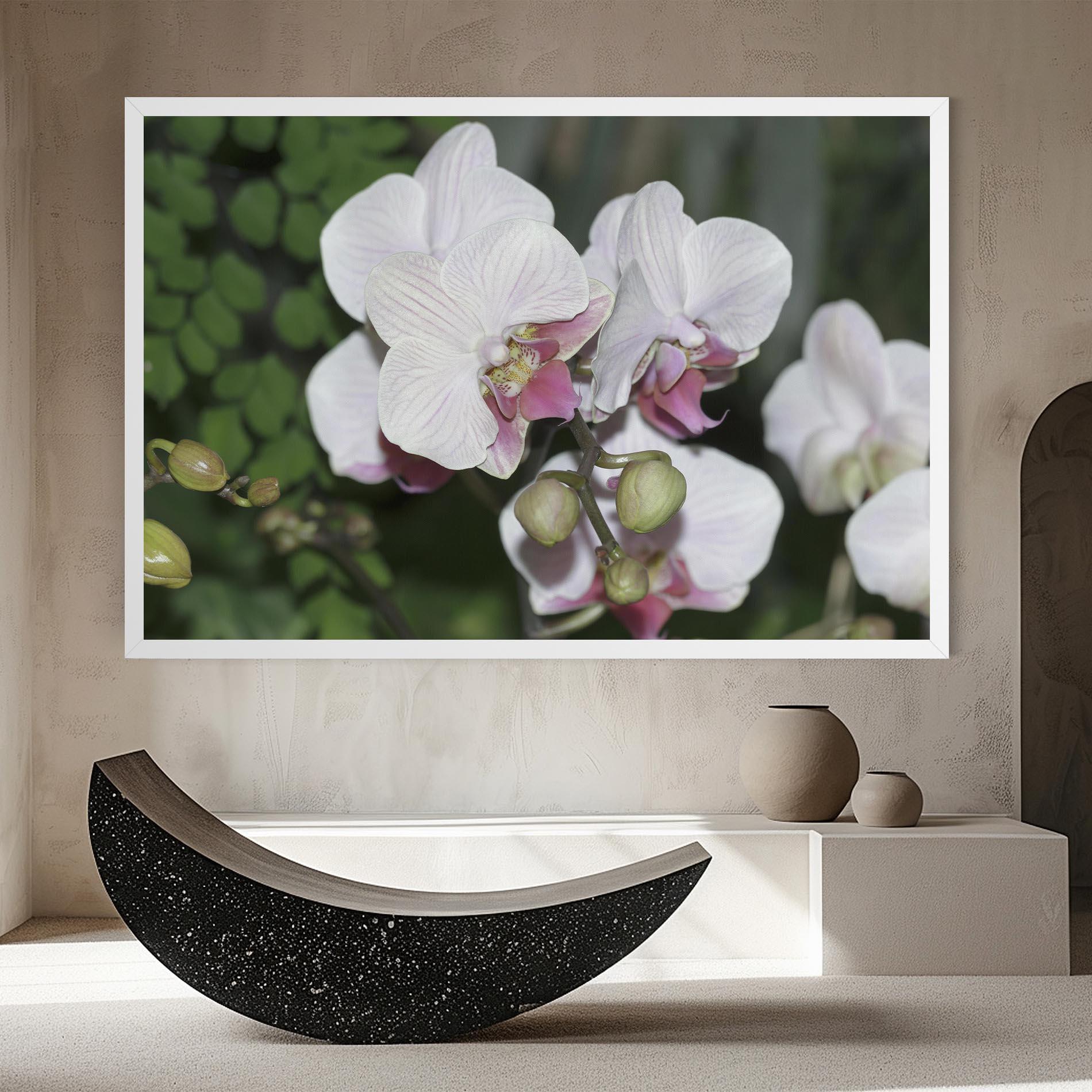 Leinwandbild Orchid Botanical Garden mockup 8
