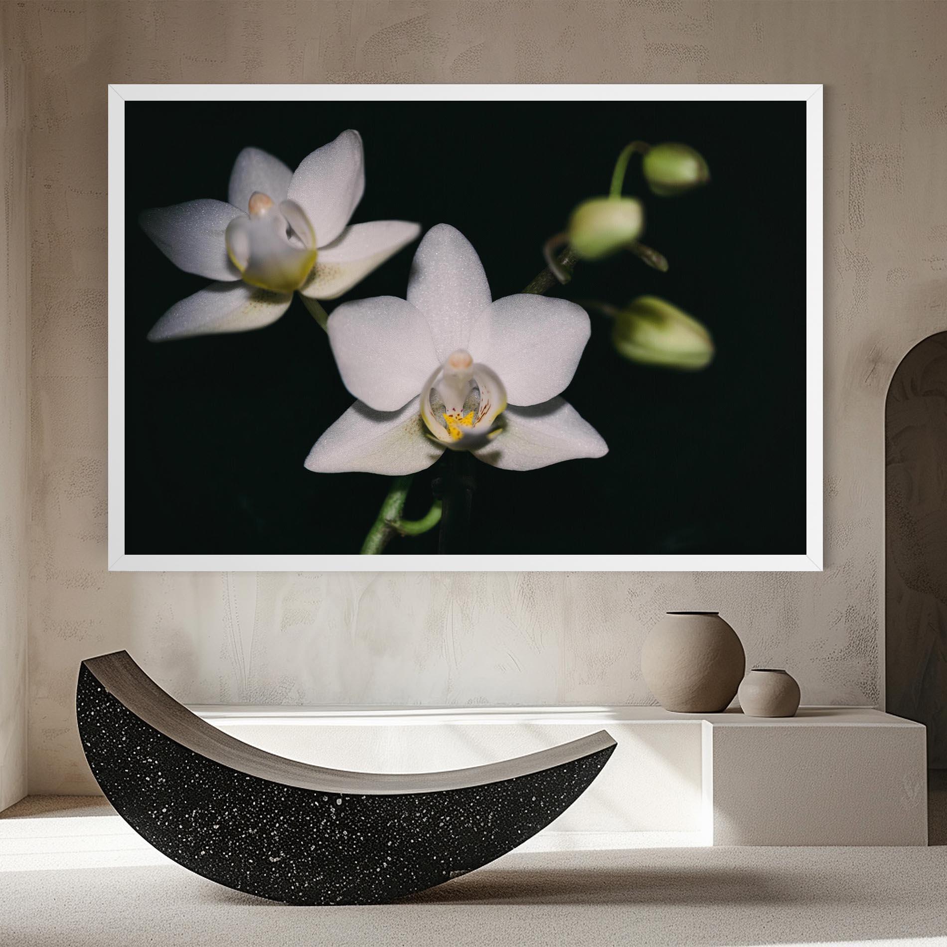Leinwandbild Orchids On Black mockup 8