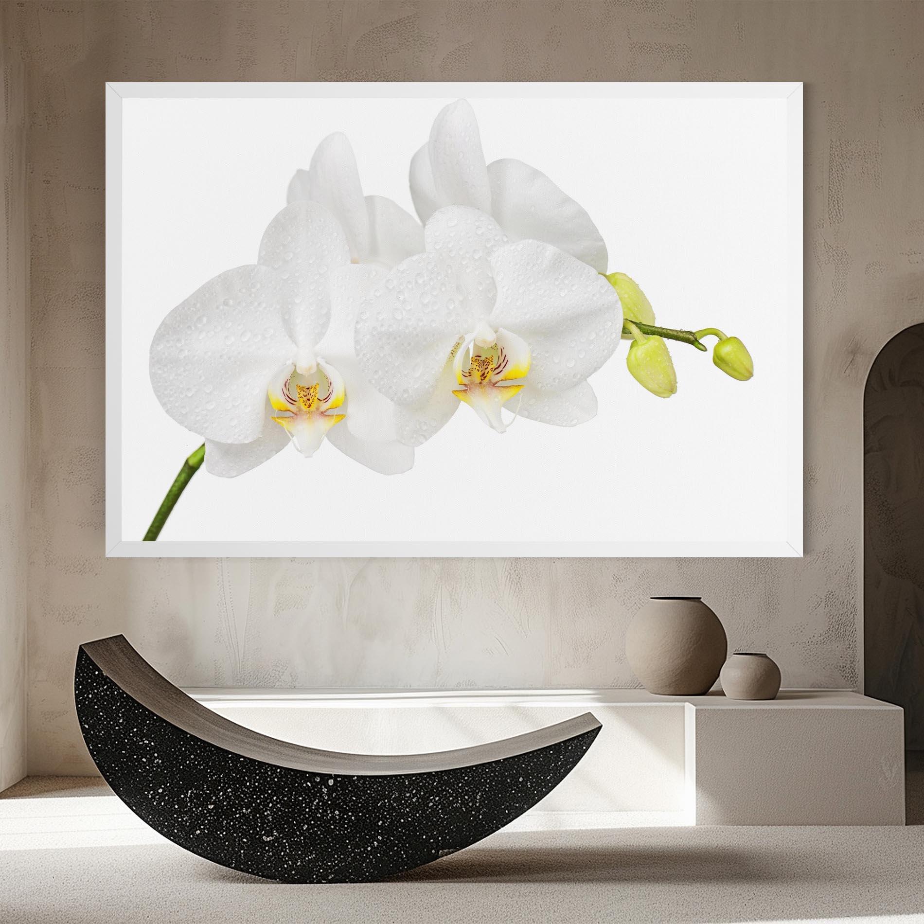 Leinwandbild Orchids On White mockup 8