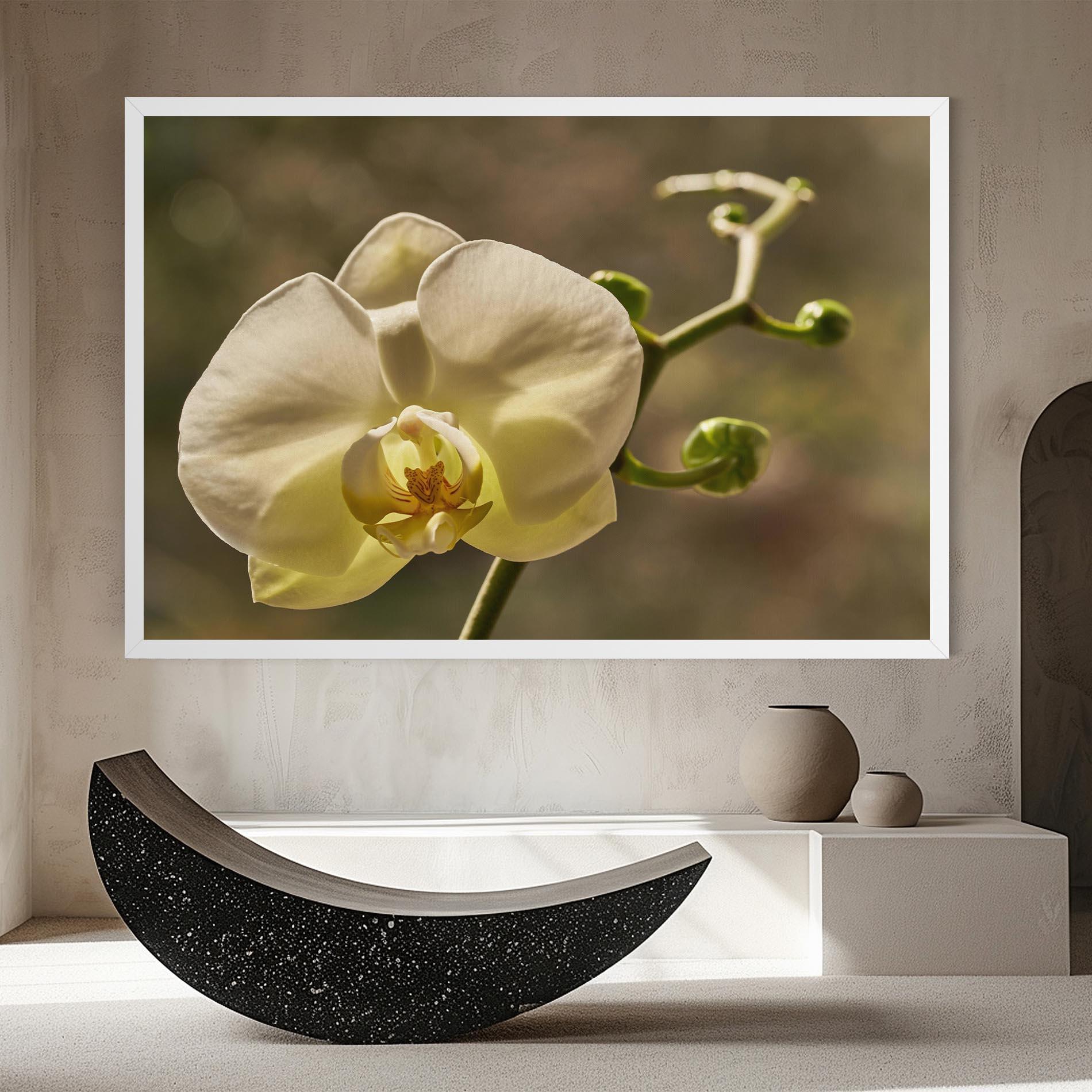 Leinwandbild Pastel Yellow Orchid In Garden mockup 8