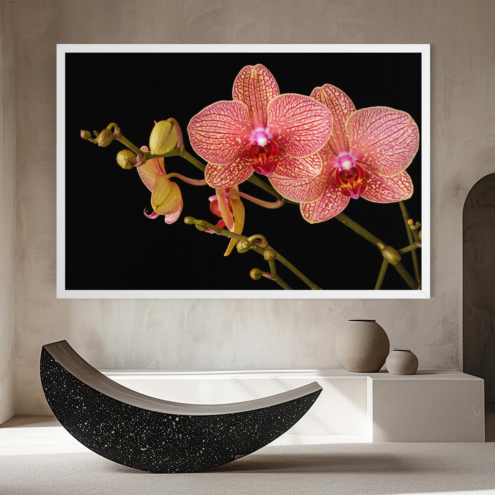 Leinwandbild Pink Orchids On Black mockup 8