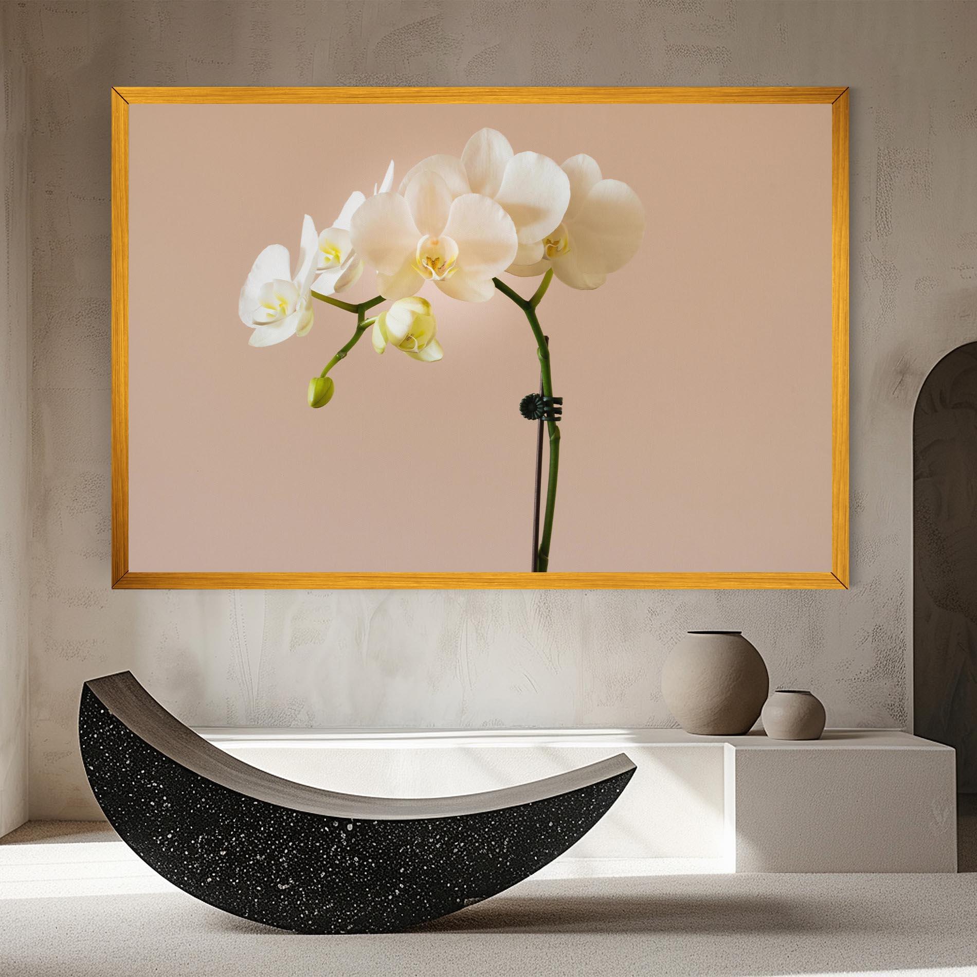 Leinwandbild Cream Orchid On Pink mockup 8