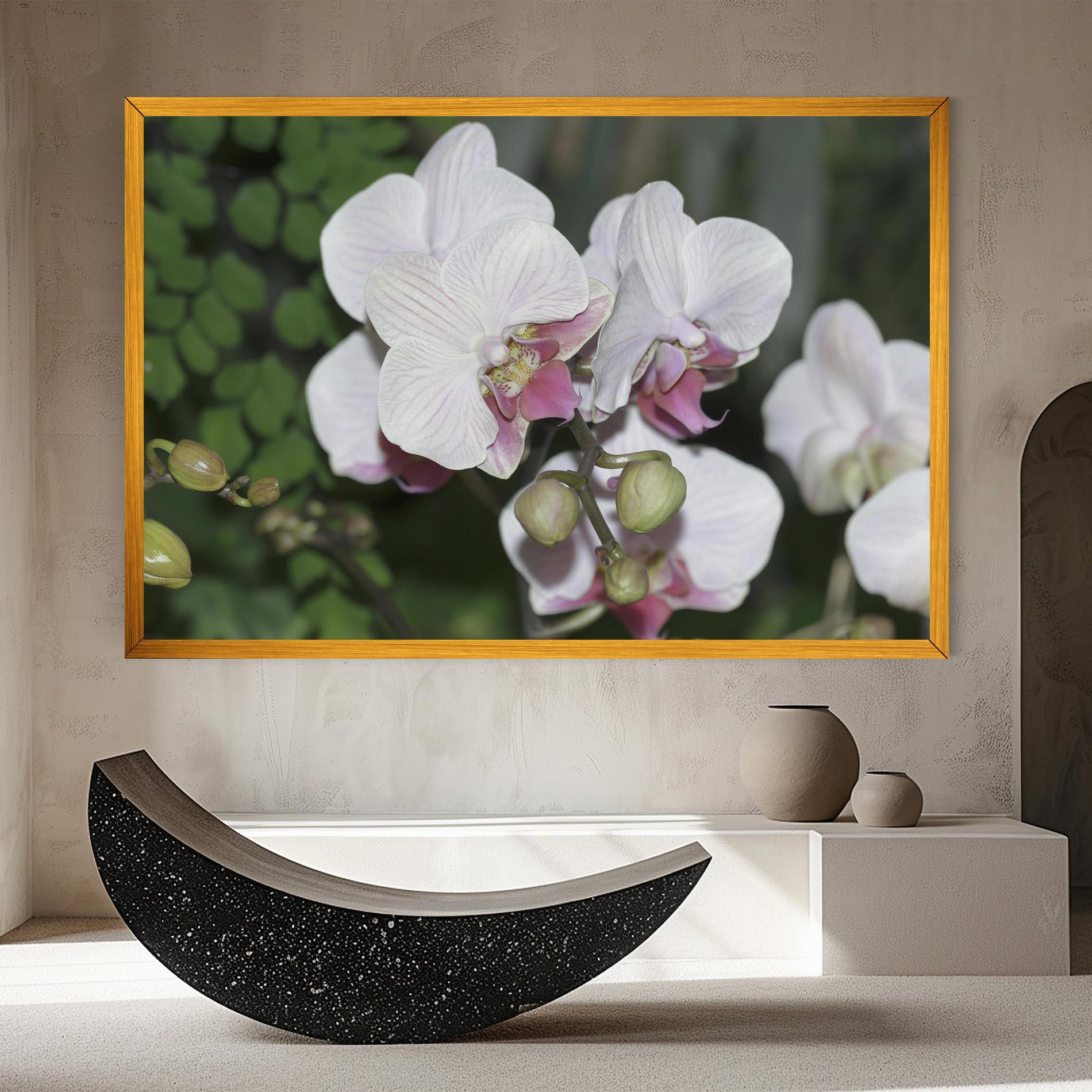 Leinwandbild Orchid Botanical Garden mockup 8