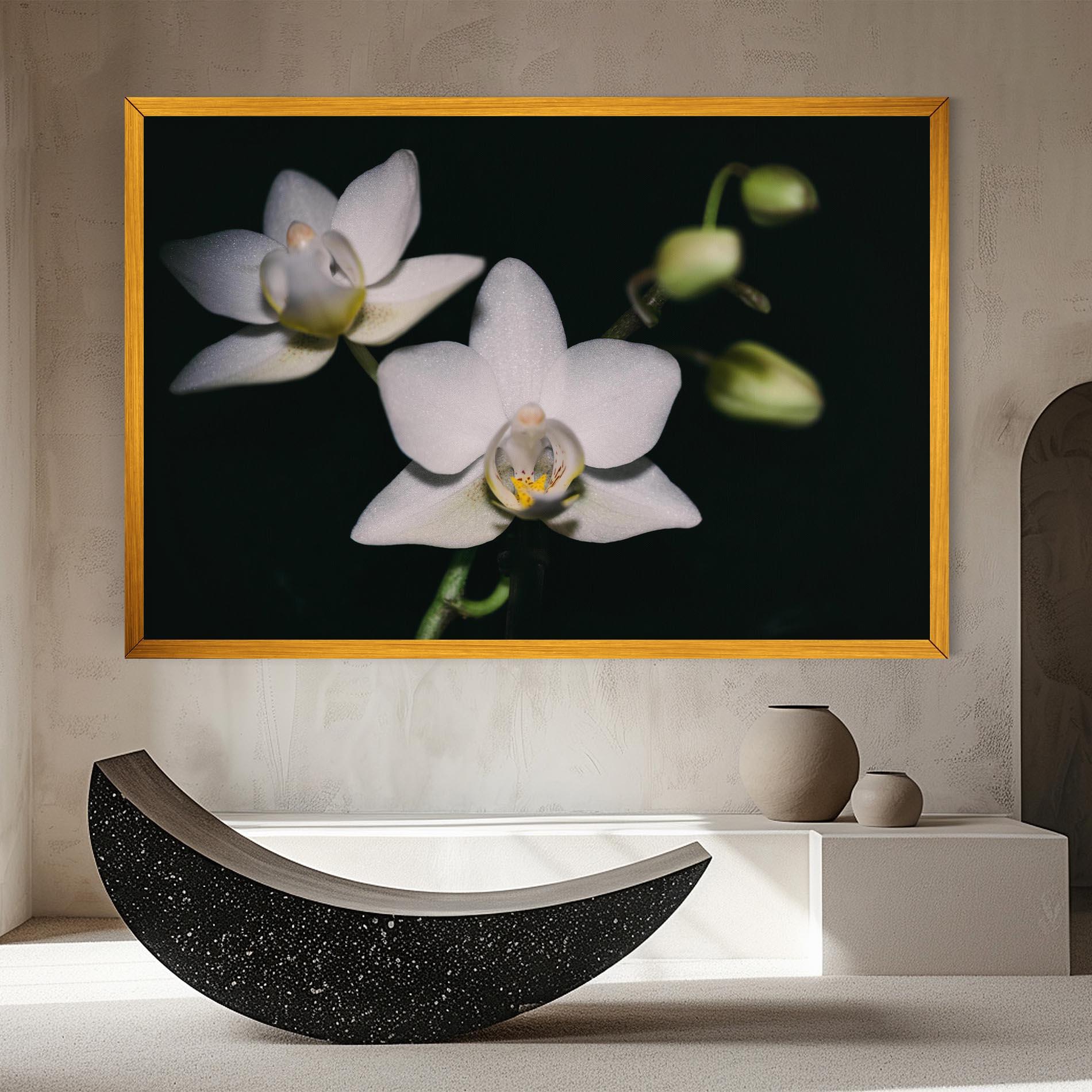 Leinwandbild Orchids On Black mockup 8