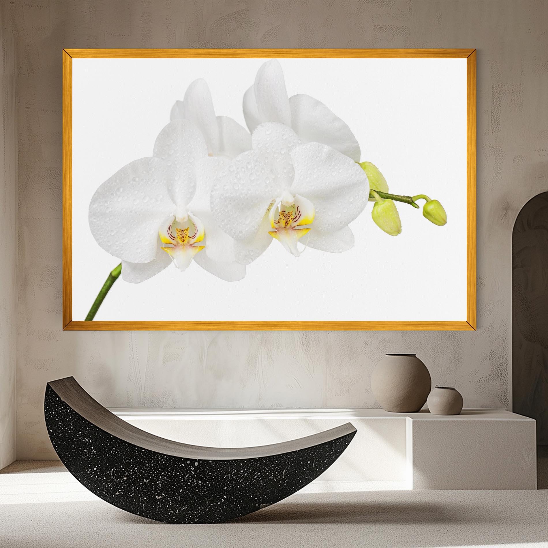 Leinwandbild Orchids On White mockup 8