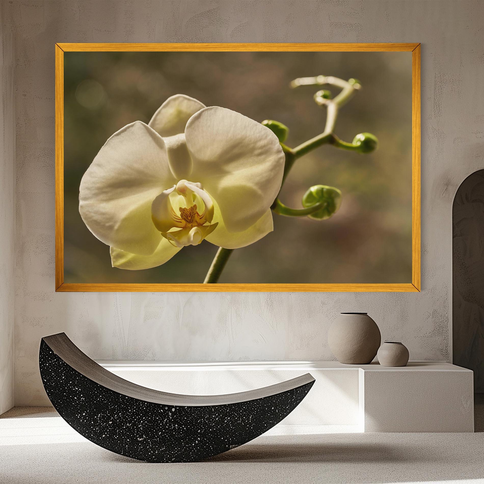 Leinwandbild Pastel Yellow Orchid In Garden mockup 8