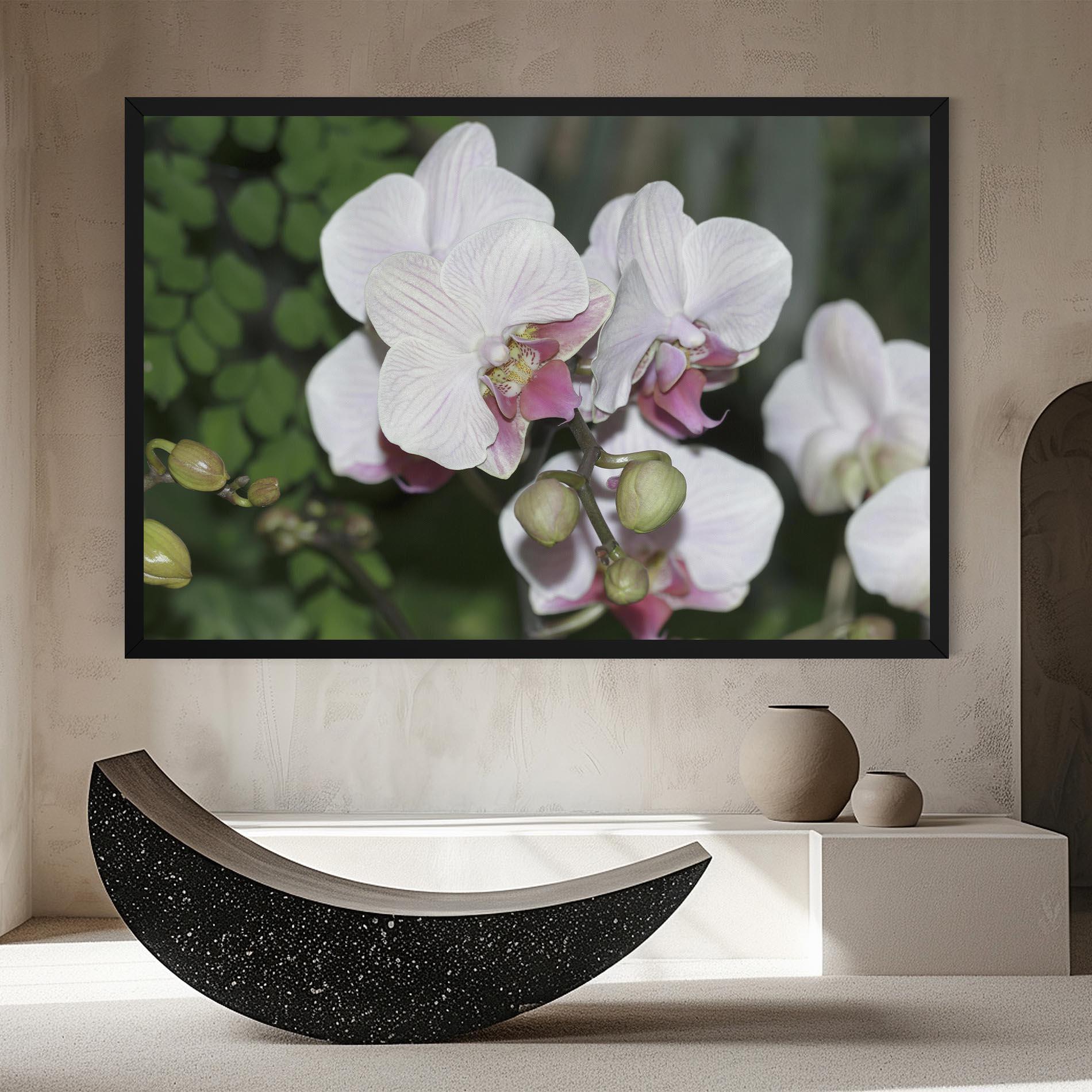 Leinwandbild Orchid Botanical Garden mockup 8