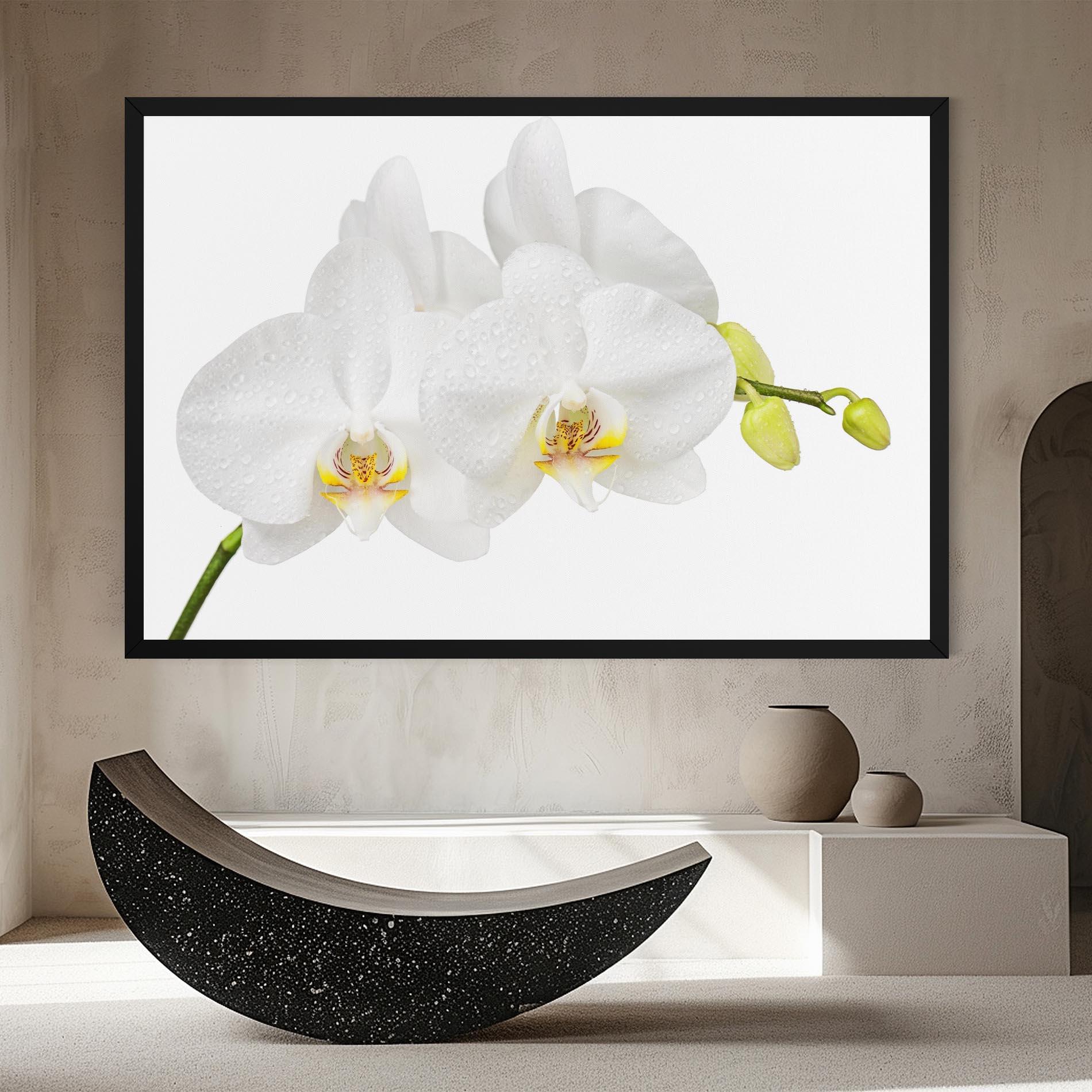 Leinwandbild Orchids On White mockup 8