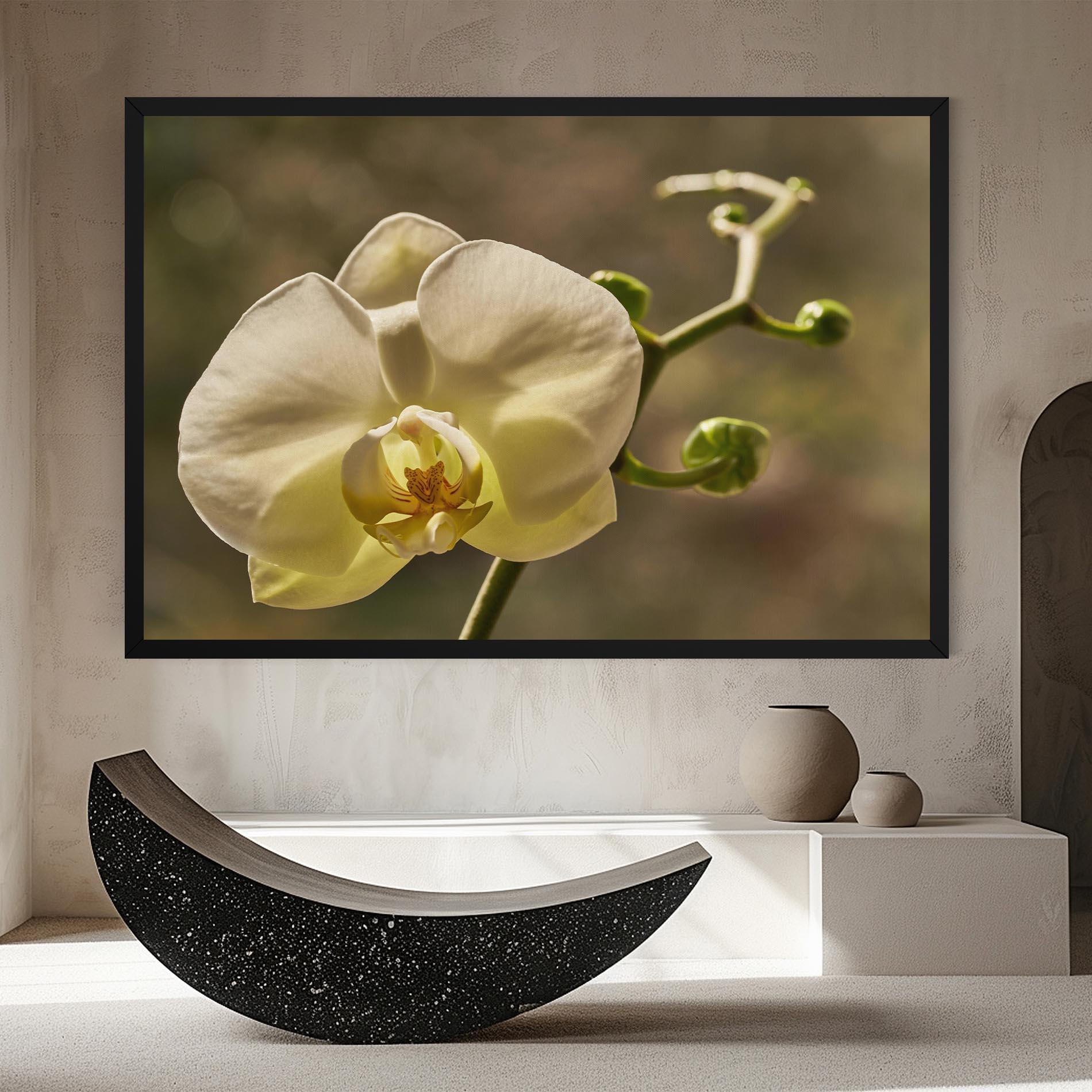 Leinwandbild Pastel Yellow Orchid In Garden mockup 8