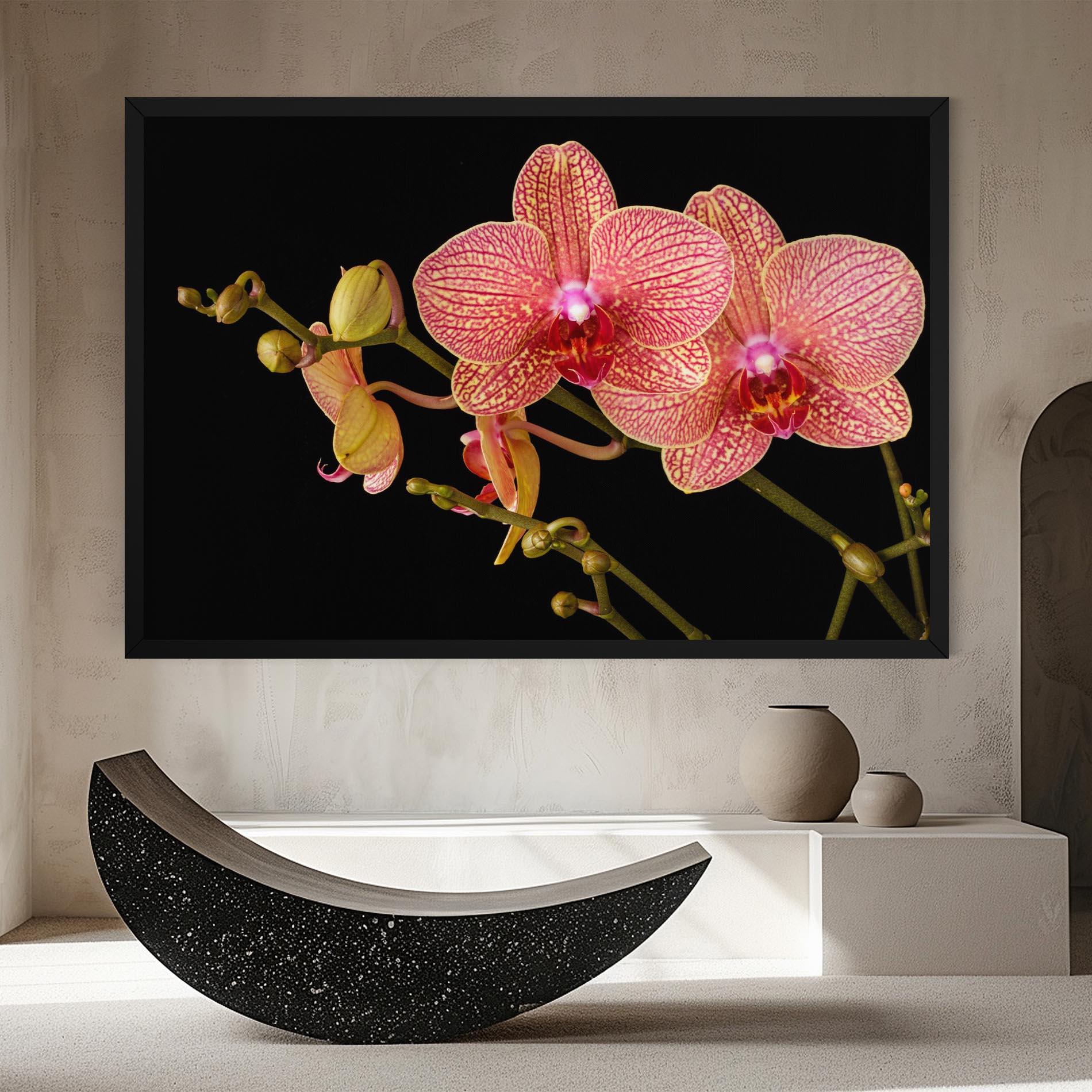 Leinwandbild Pink Orchids On Black mockup 8