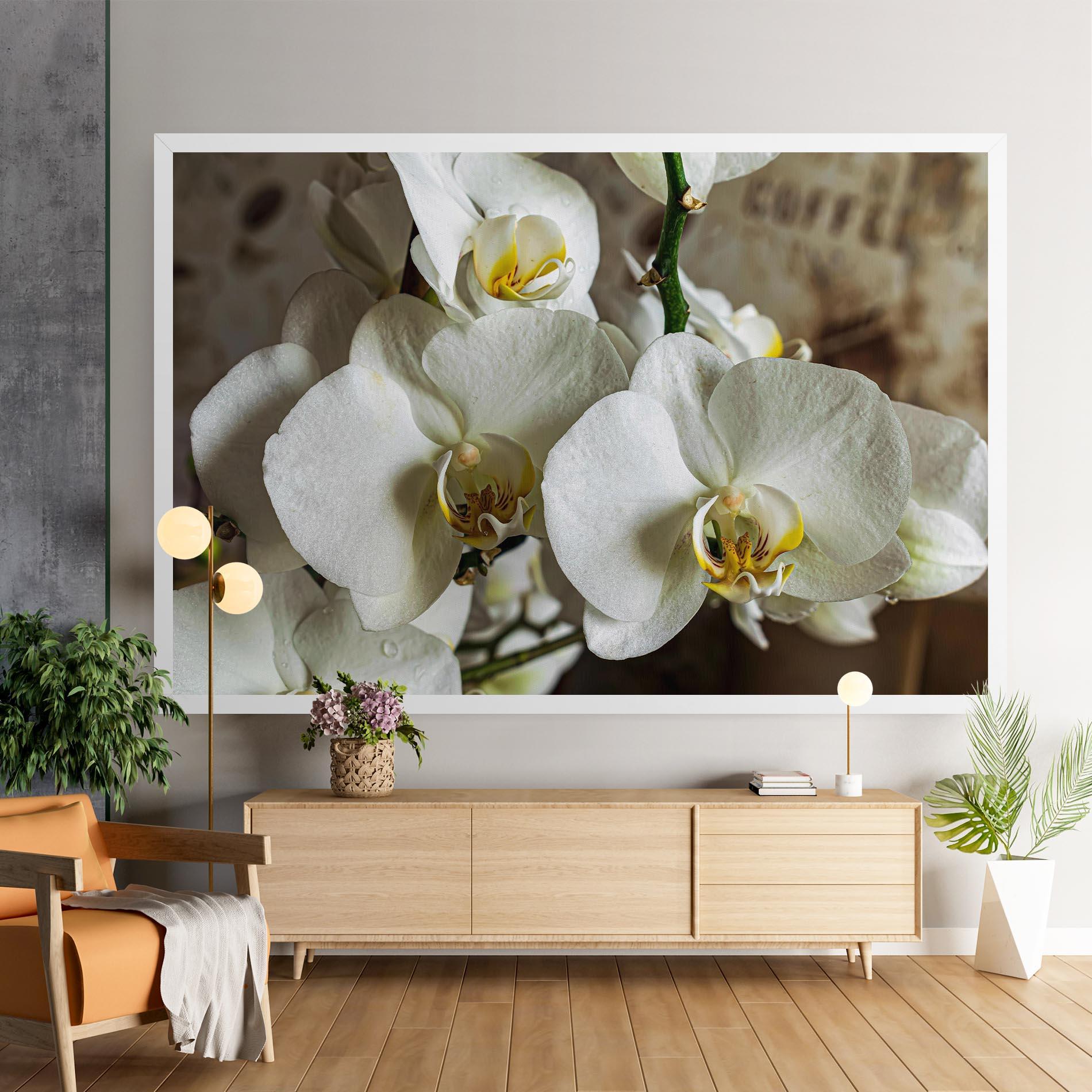 Leinwandbild Beautiful White Orchids mockup 9