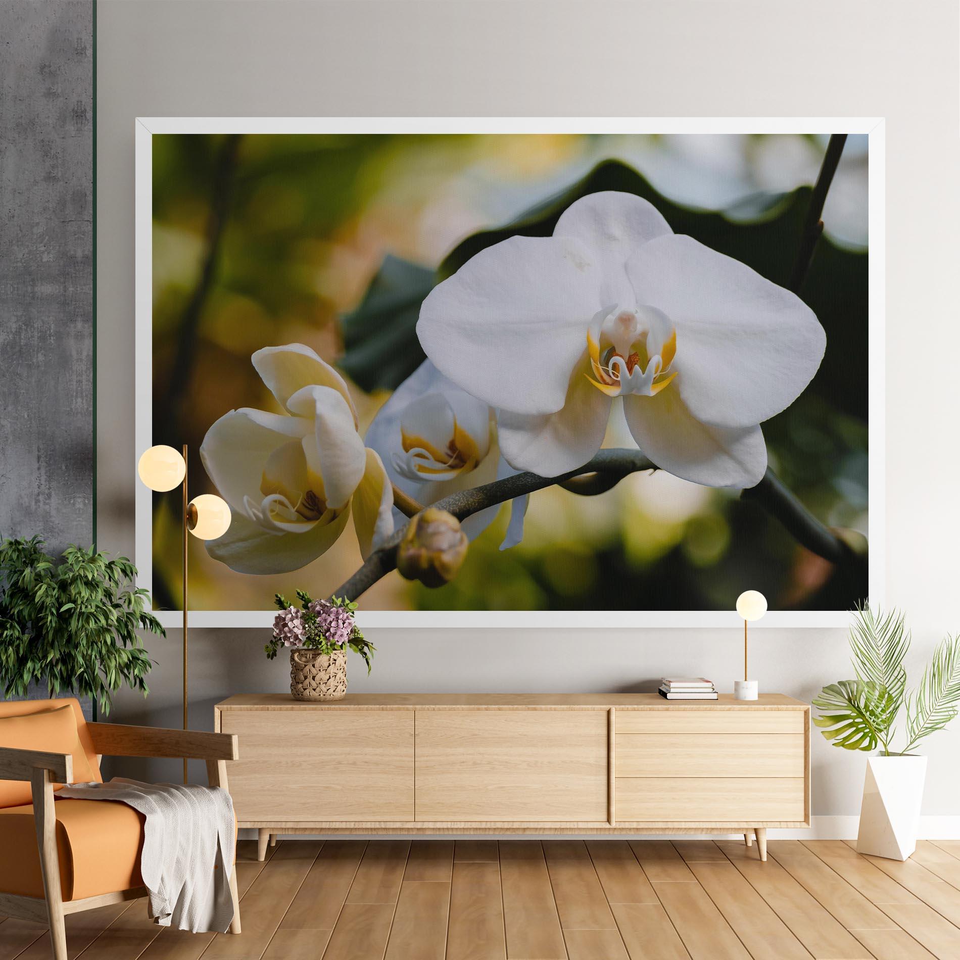 Leinwandbild Cream Orchid In Nature mockup 9