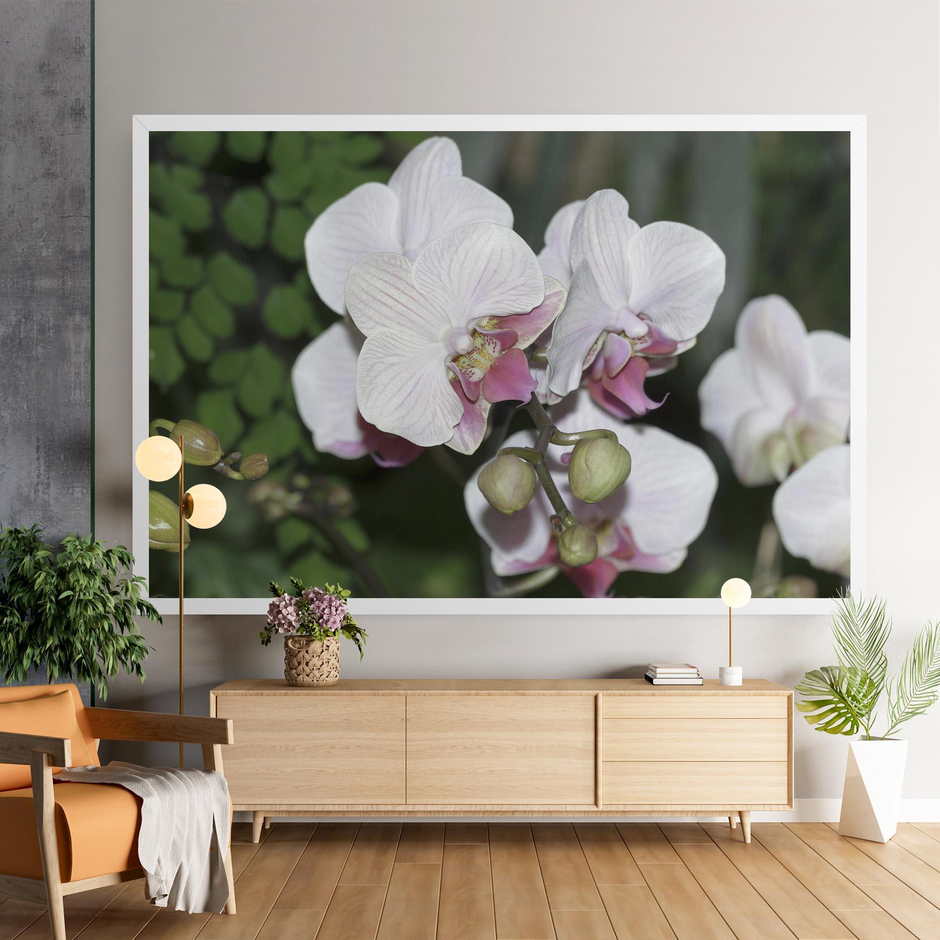 Leinwandbild Orchid Botanical Garden mockup 9
