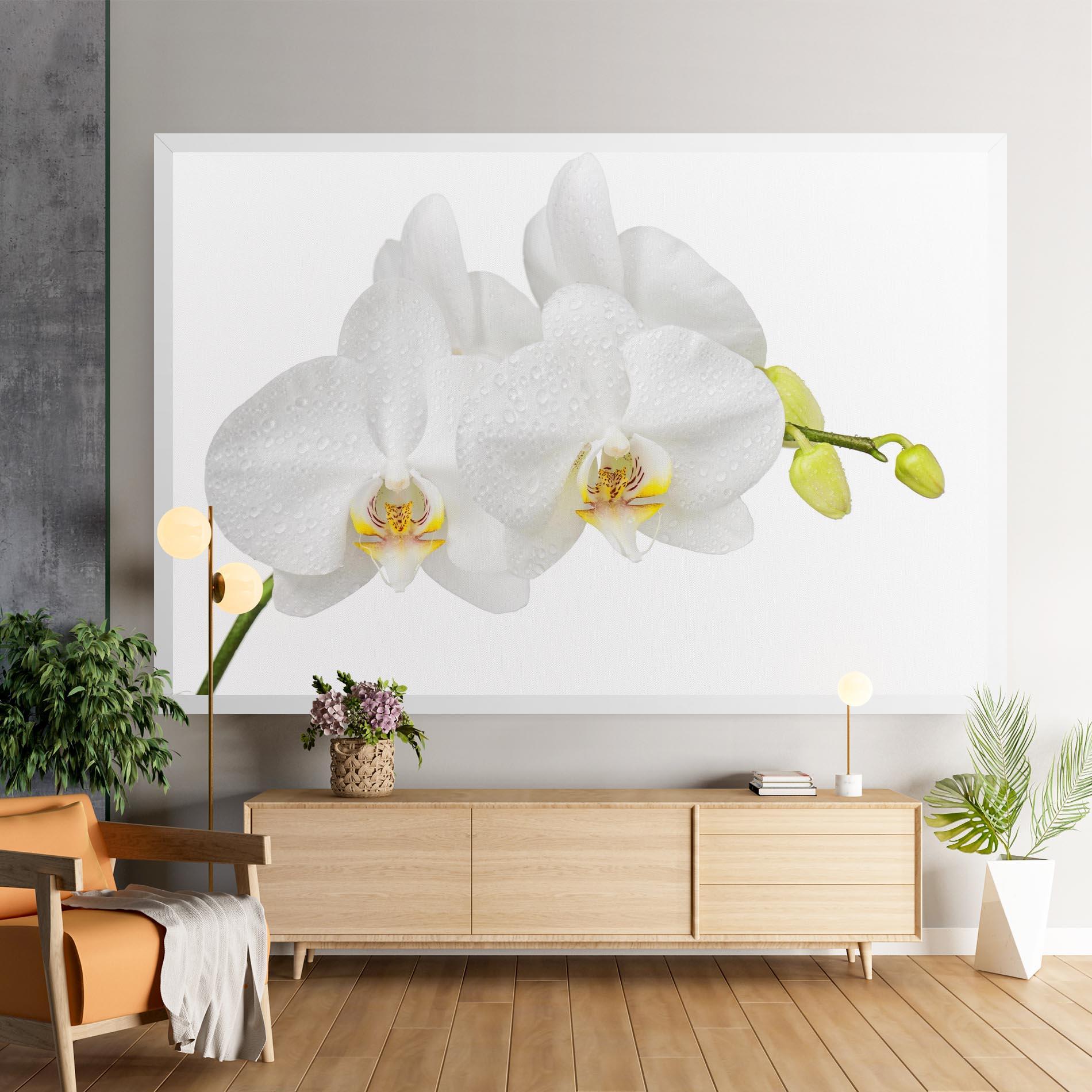Leinwandbild Orchids On White mockup 9