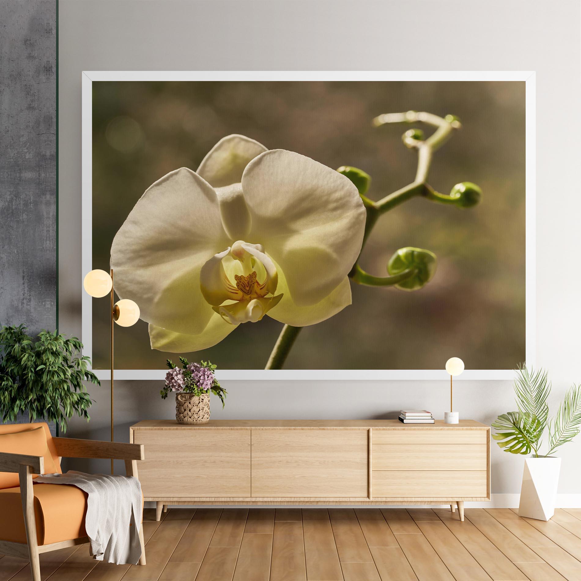 Leinwandbild Pastel Yellow Orchid In Garden mockup 9