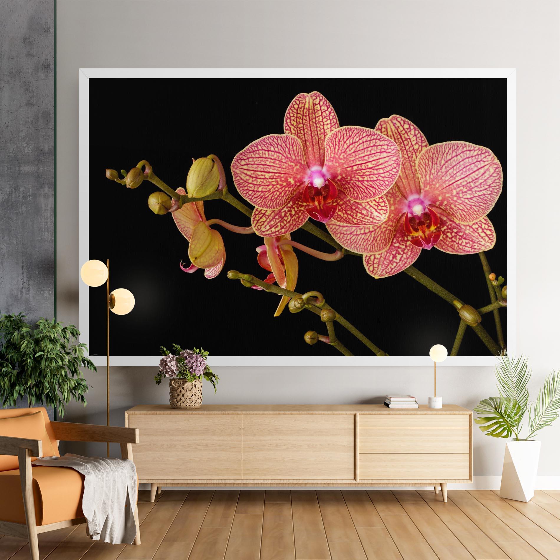 Leinwandbild Pink Orchids On Black mockup 9