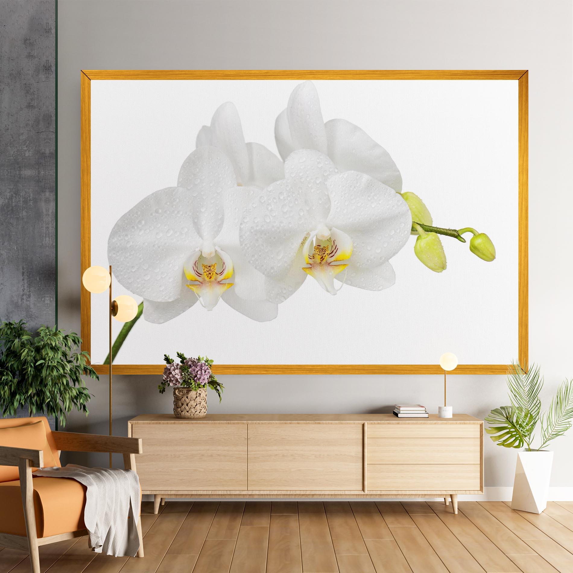 Leinwandbild Orchids On White mockup 9