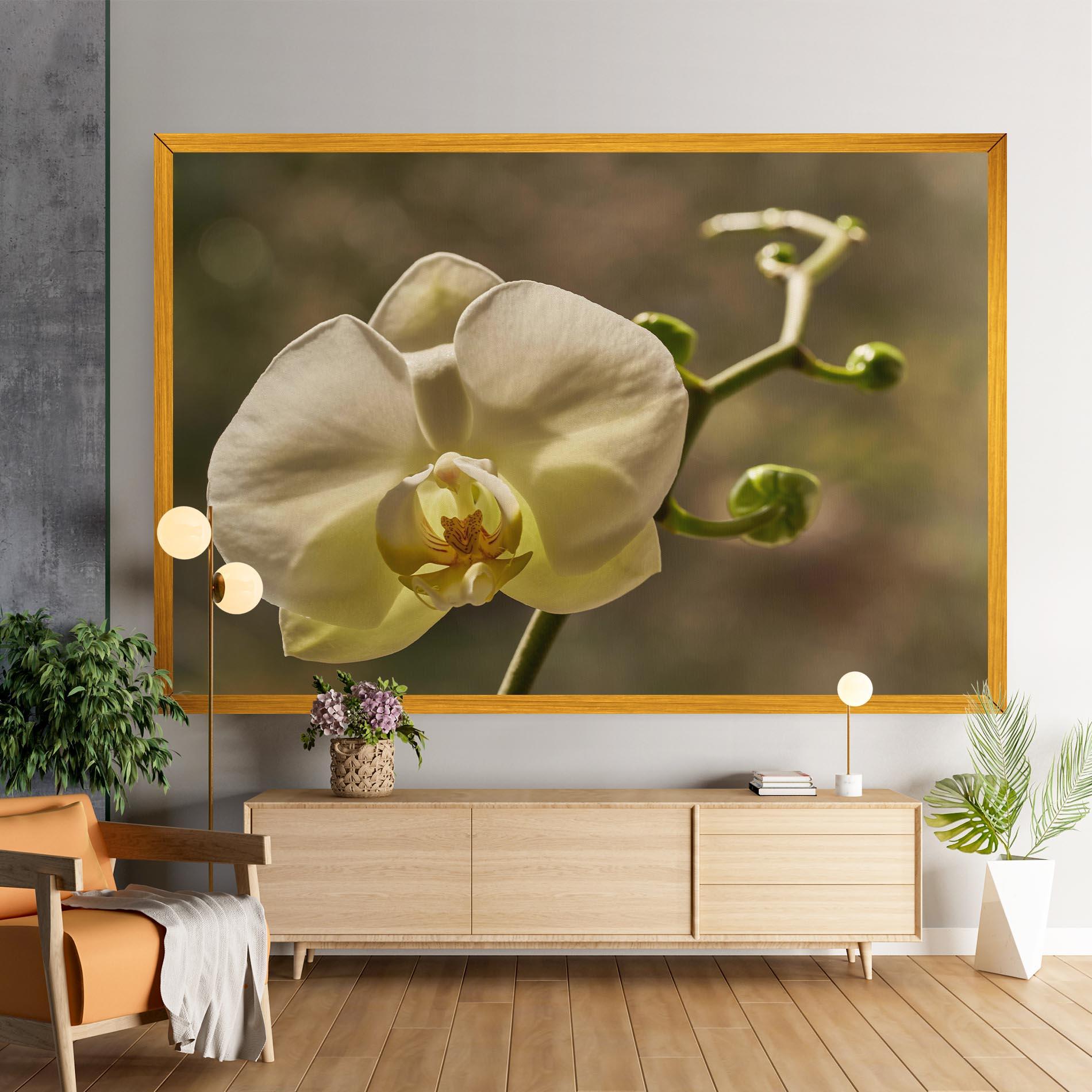 Leinwandbild Pastel Yellow Orchid In Garden mockup 9