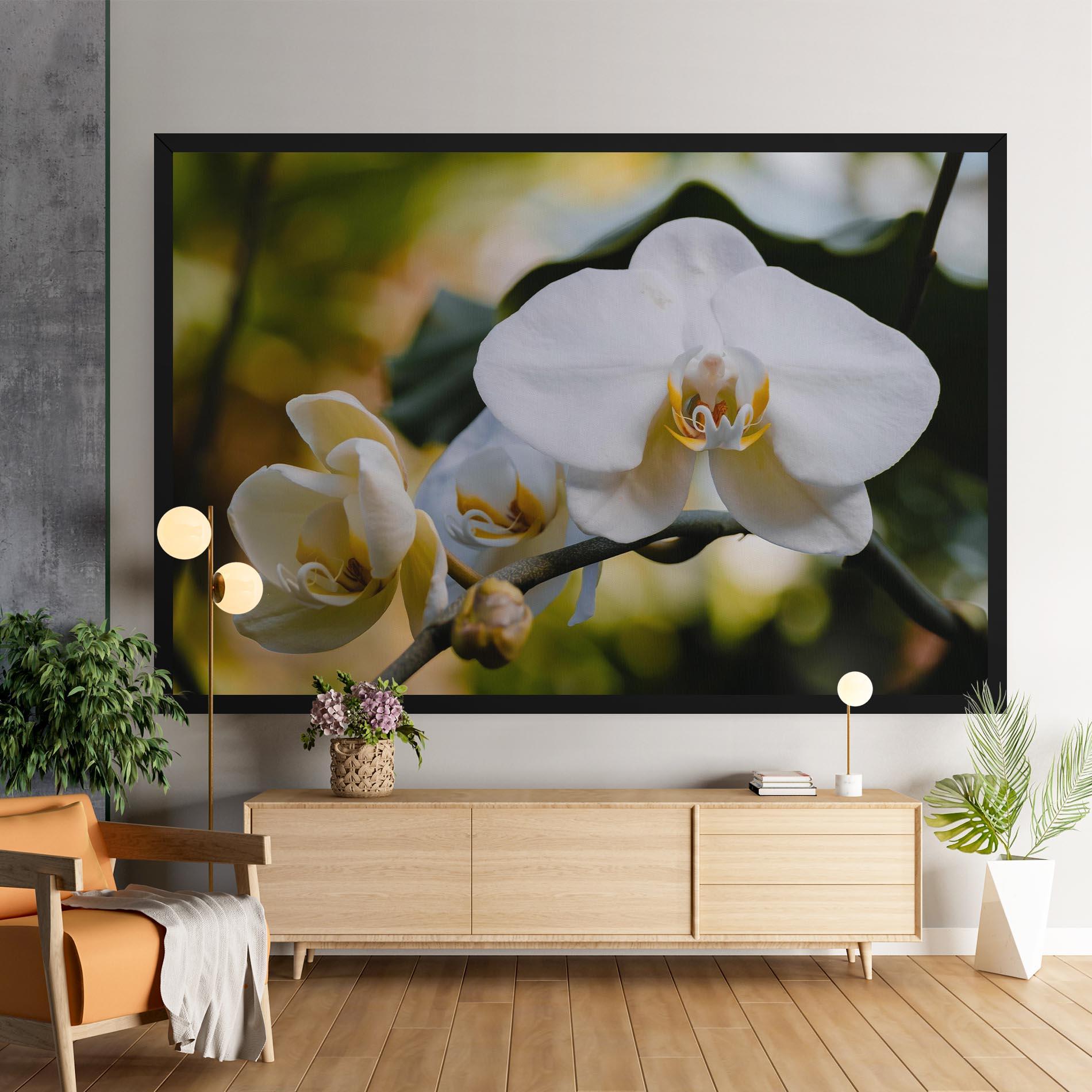 Leinwandbild Cream Orchid In Nature mockup 9