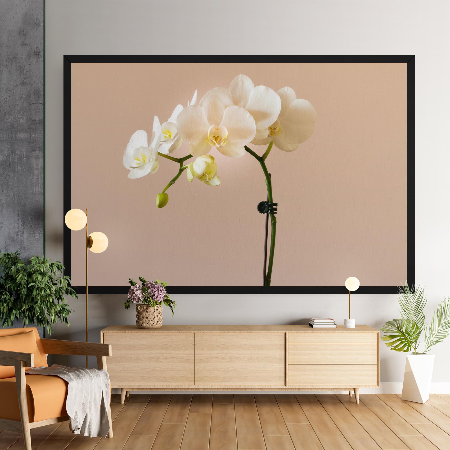 Leinwandbild Cream Orchid On Pink mockup 9