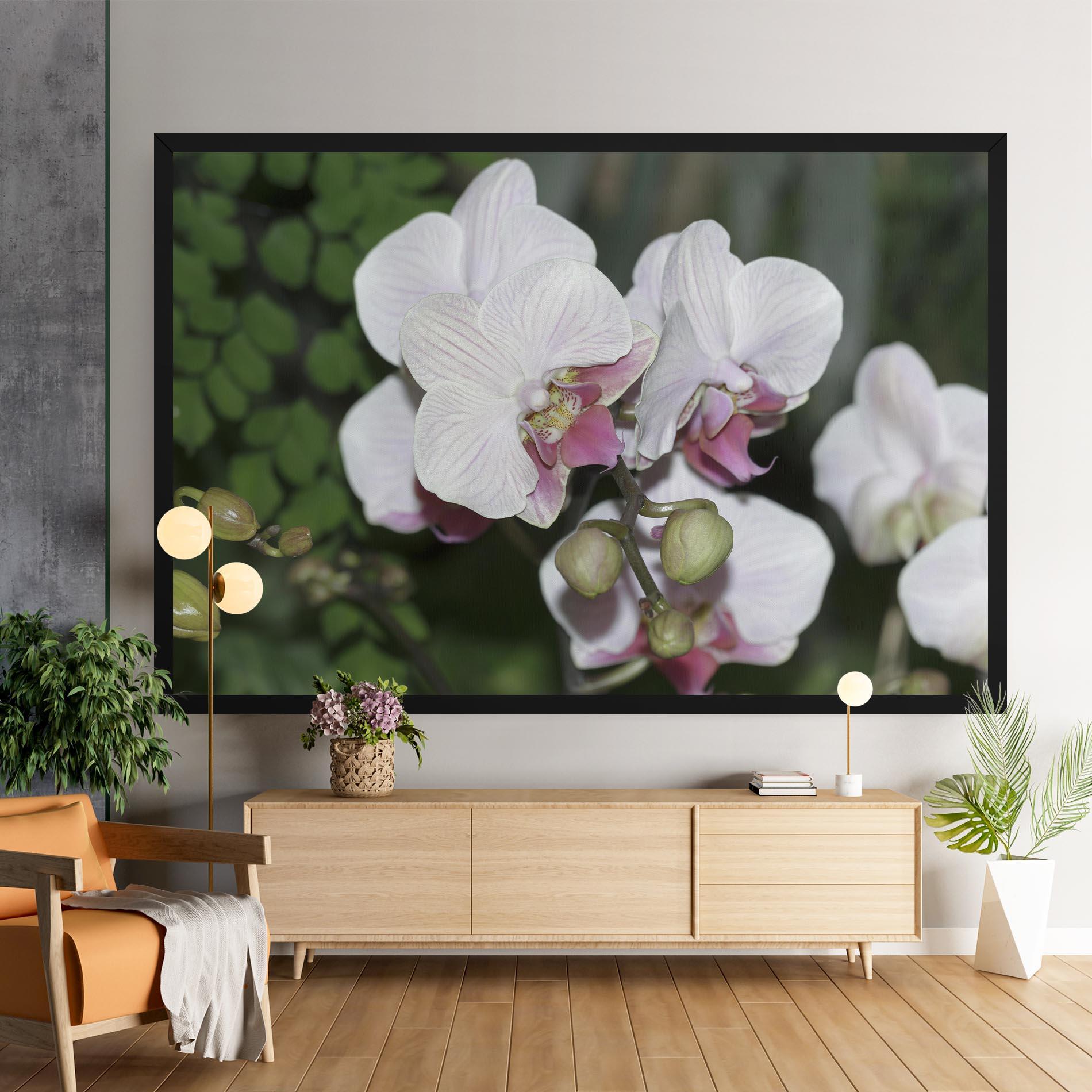 Leinwandbild Orchid Botanical Garden mockup 9