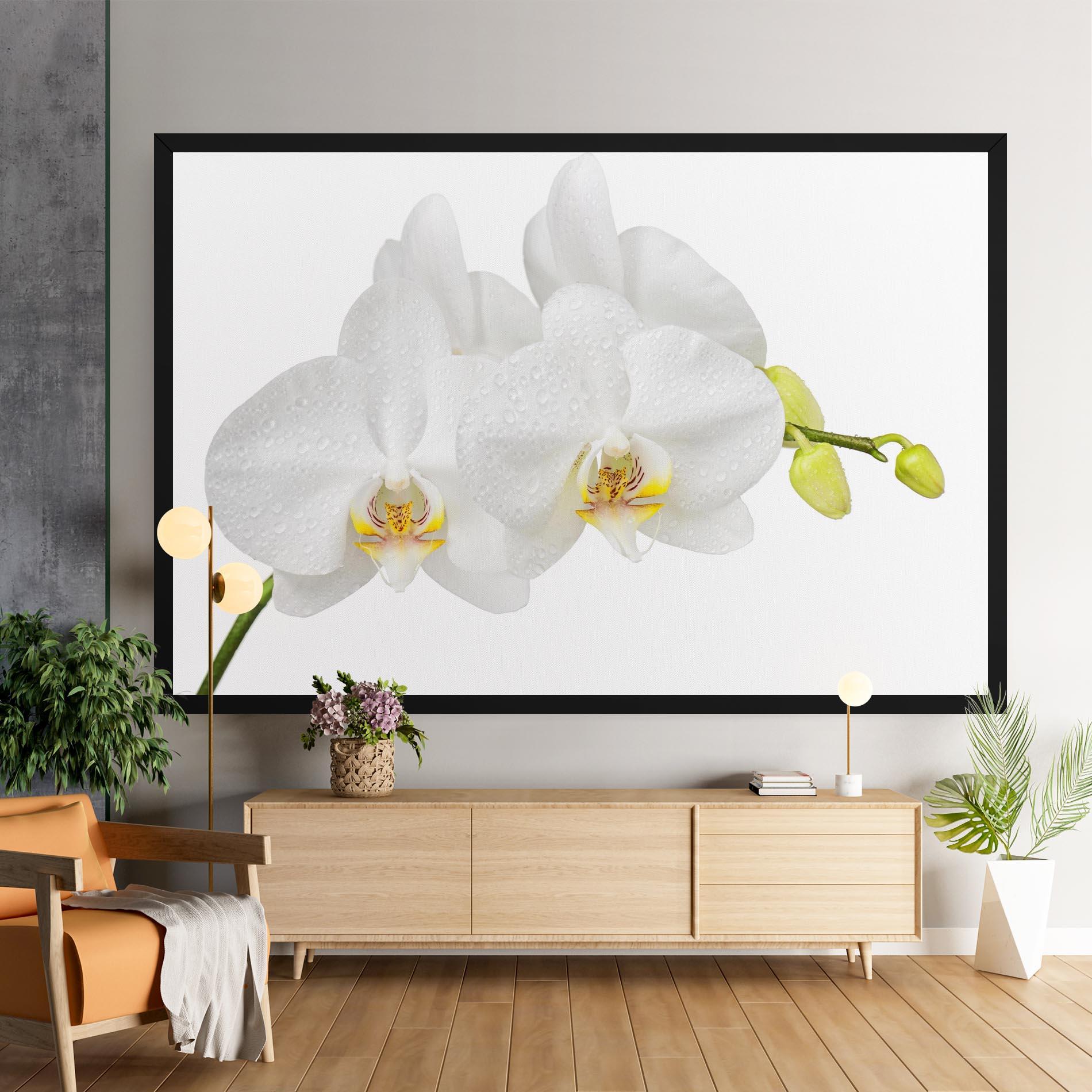 Leinwandbild Orchids On White mockup 9