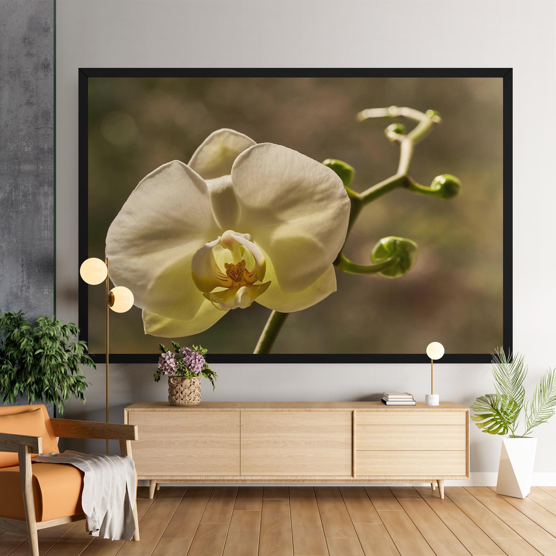 Leinwandbild Pastel Yellow Orchid In Garden mockup 9