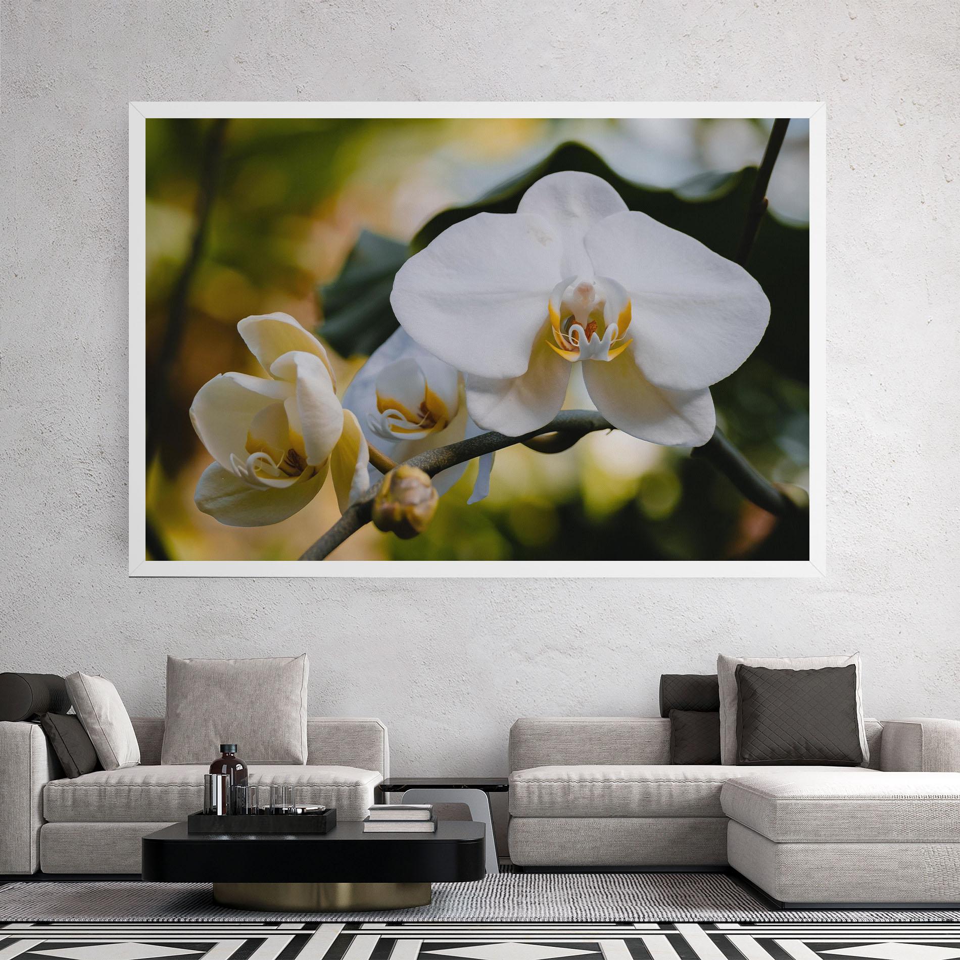 Leinwandbild Cream Orchid In Nature mockup 2
