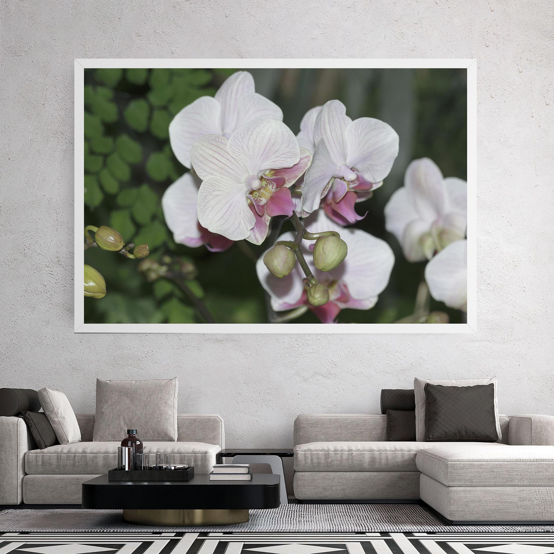 Leinwandbild Orchid Botanical Garden mockup 2
