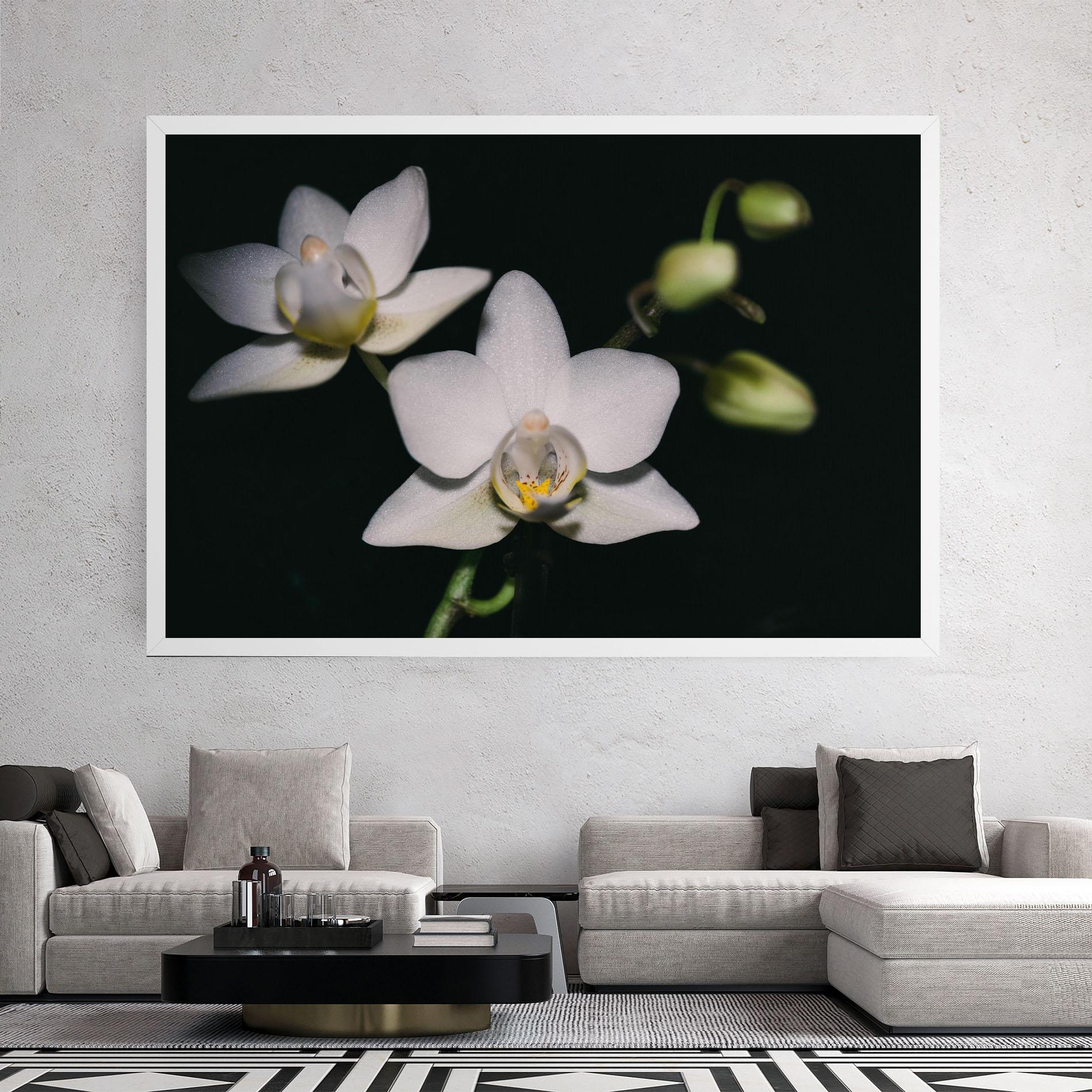 Leinwandbild Orchids On Black mockup 2