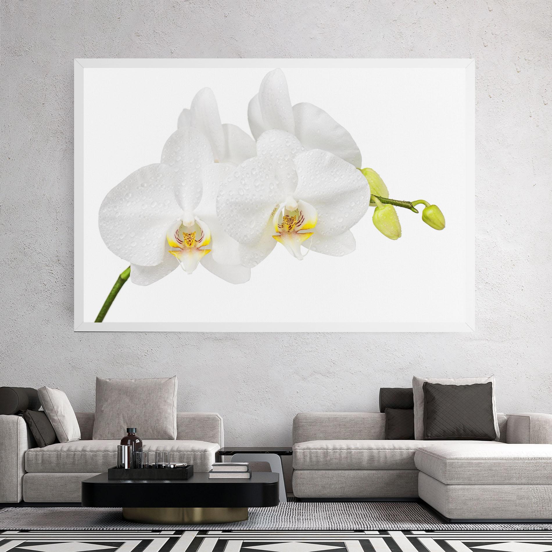 Leinwandbild Orchids On White mockup 2