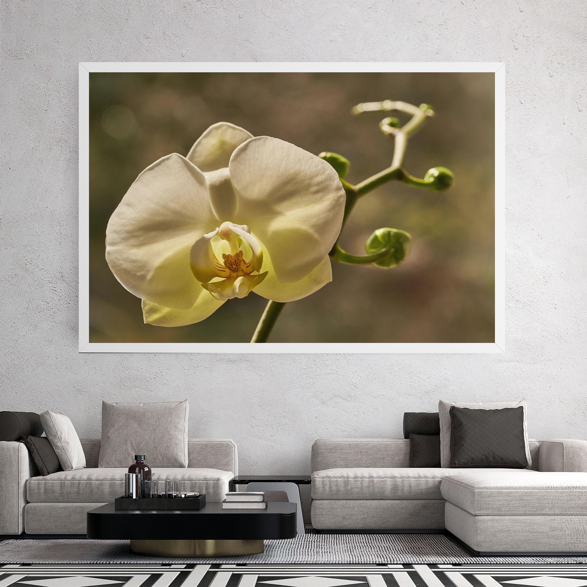 Leinwandbild Pastel Yellow Orchid In Garden mockup 2