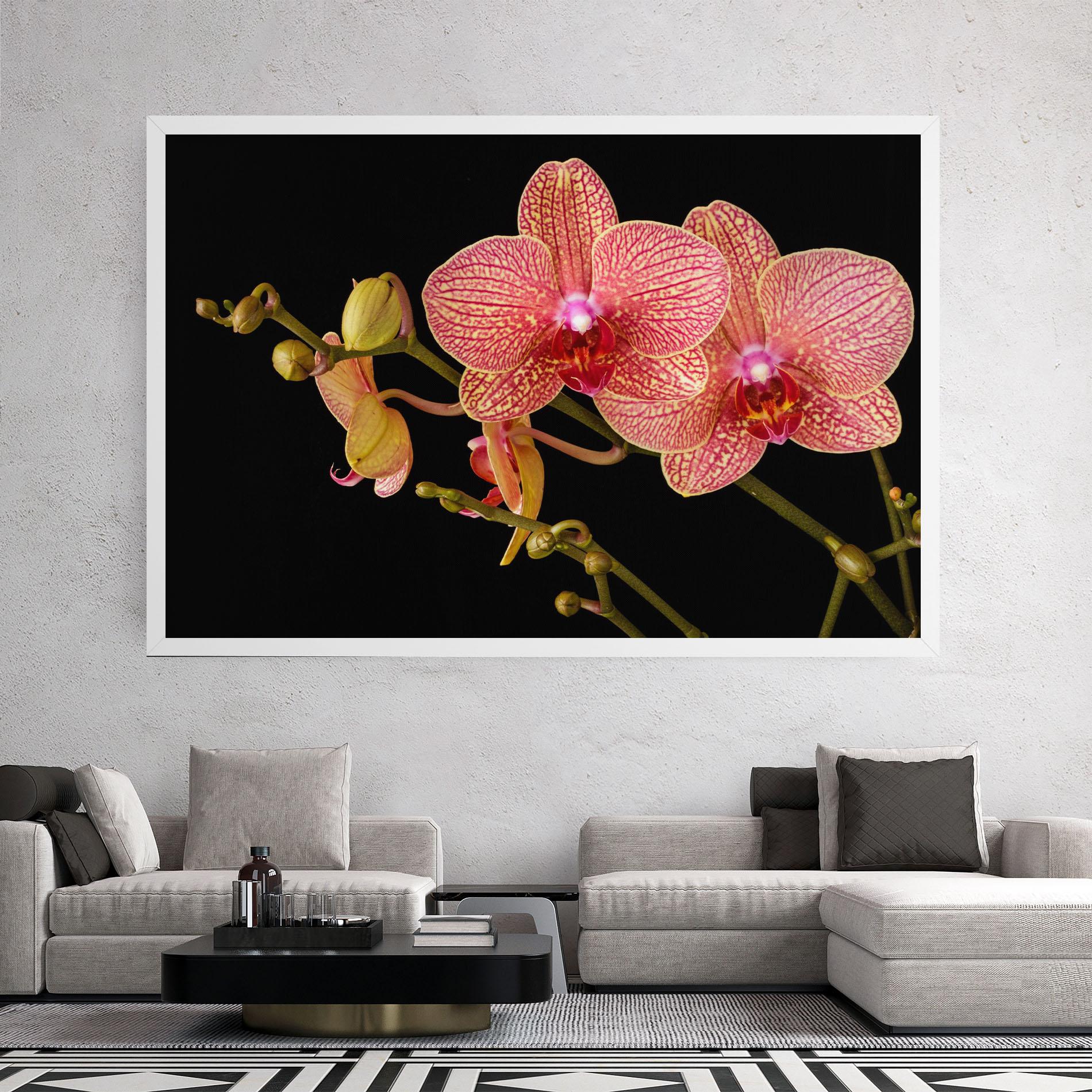 Leinwandbild Pink Orchids On Black mockup 2