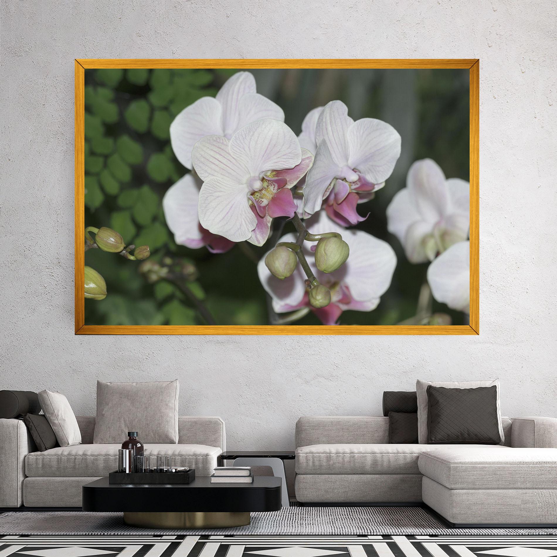 Leinwandbild Orchid Botanical Garden mockup 2