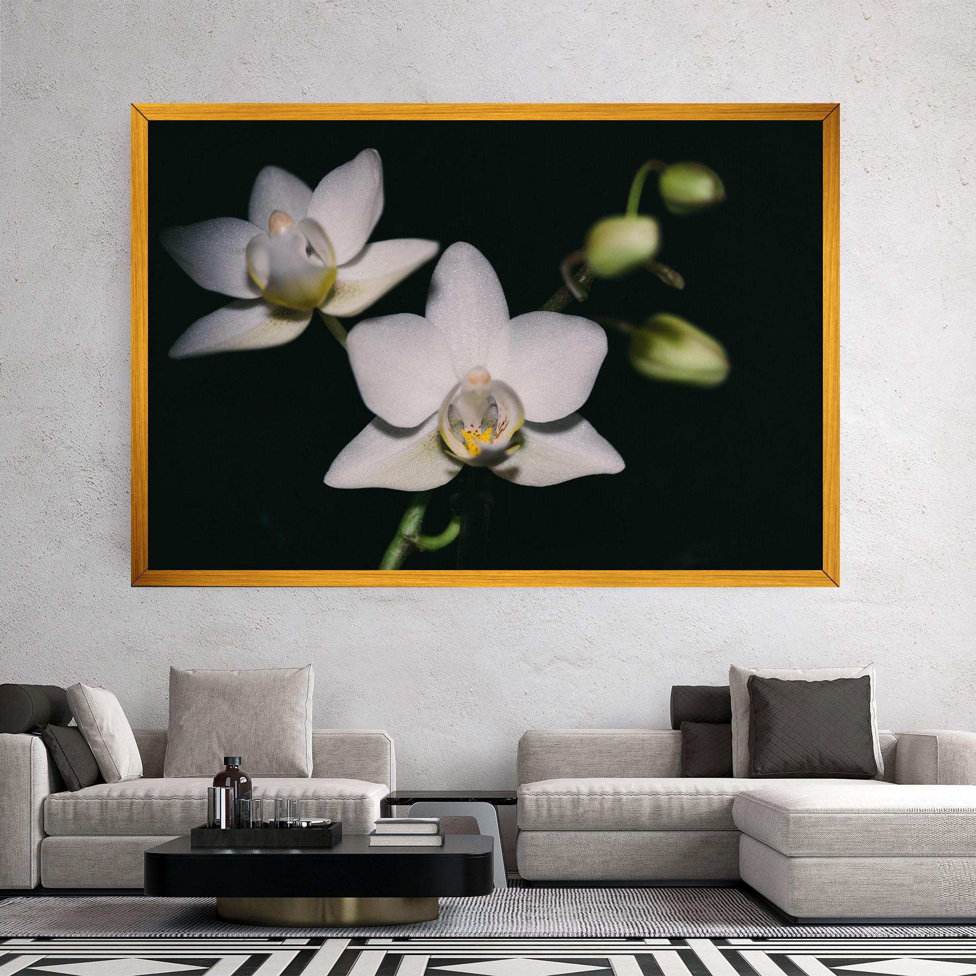 Leinwandbild Orchids On Black mockup 2