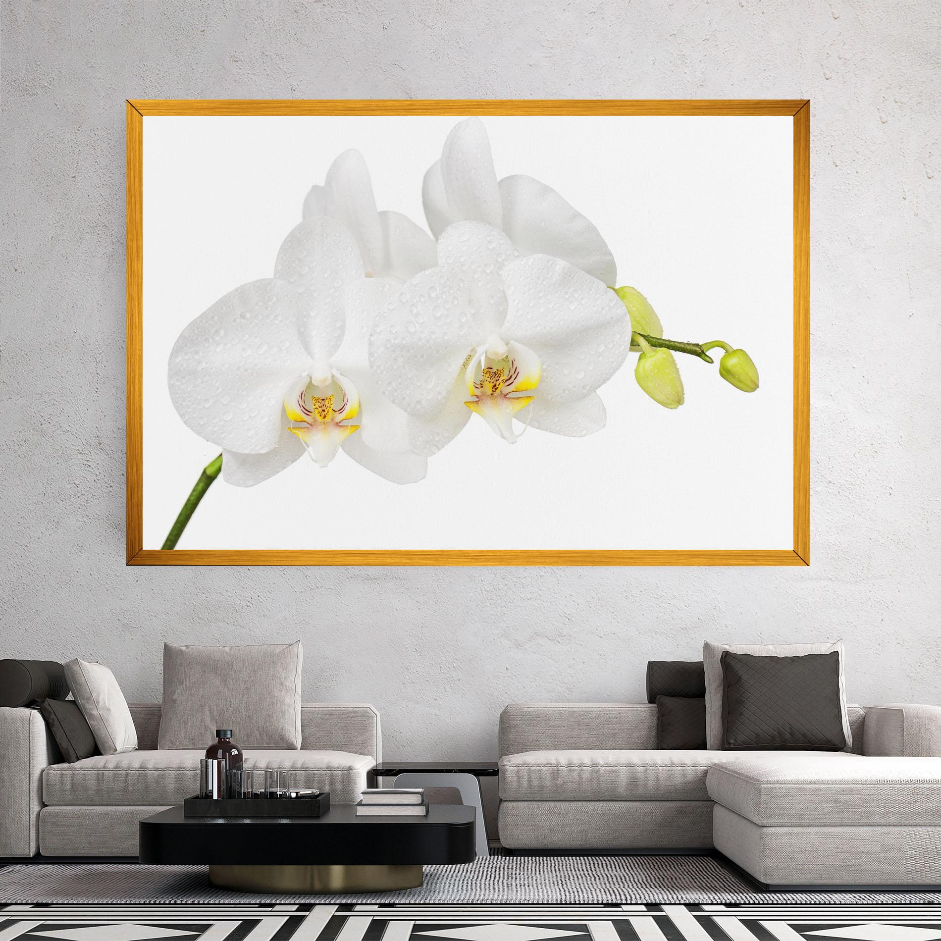Leinwandbild Orchids On White mockup 2