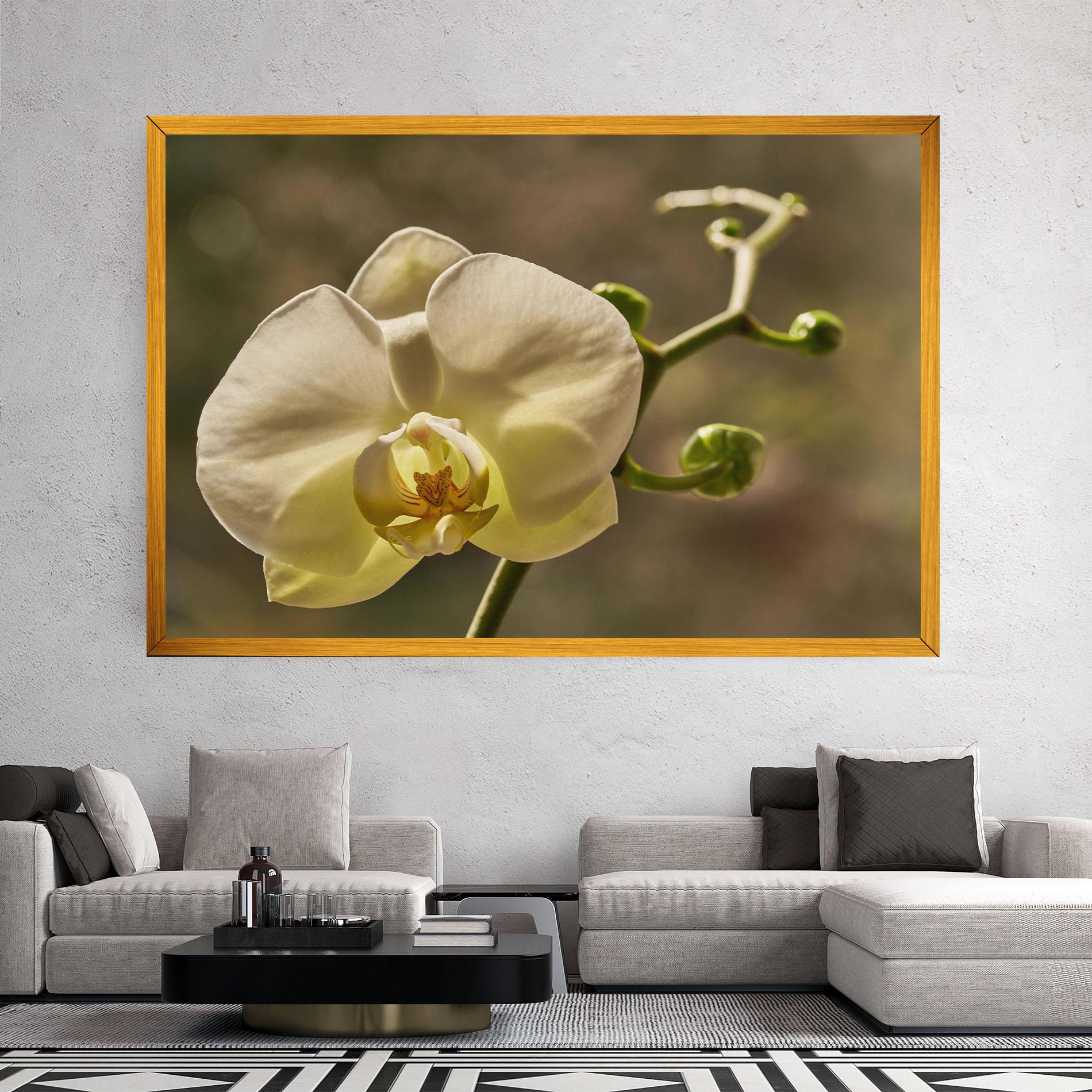 Leinwandbild Pastel Yellow Orchid In Garden mockup 2