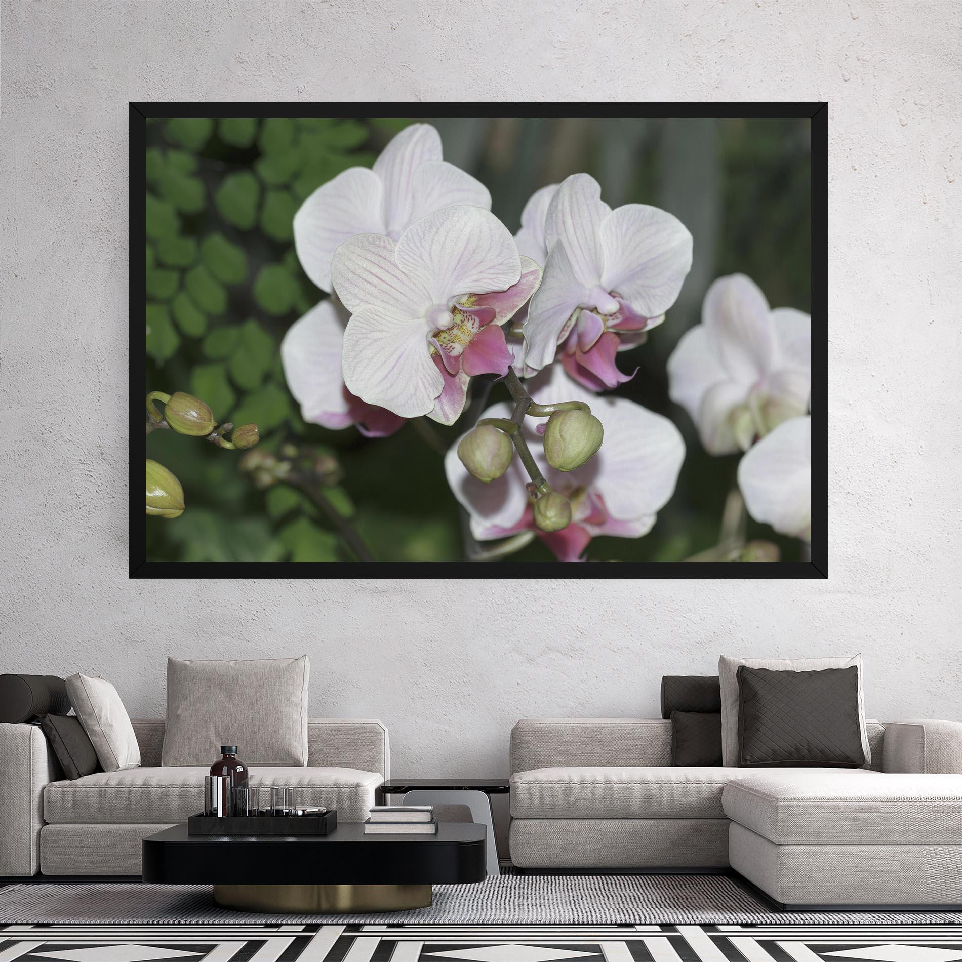 Leinwandbild Orchid Botanical Garden mockup 2