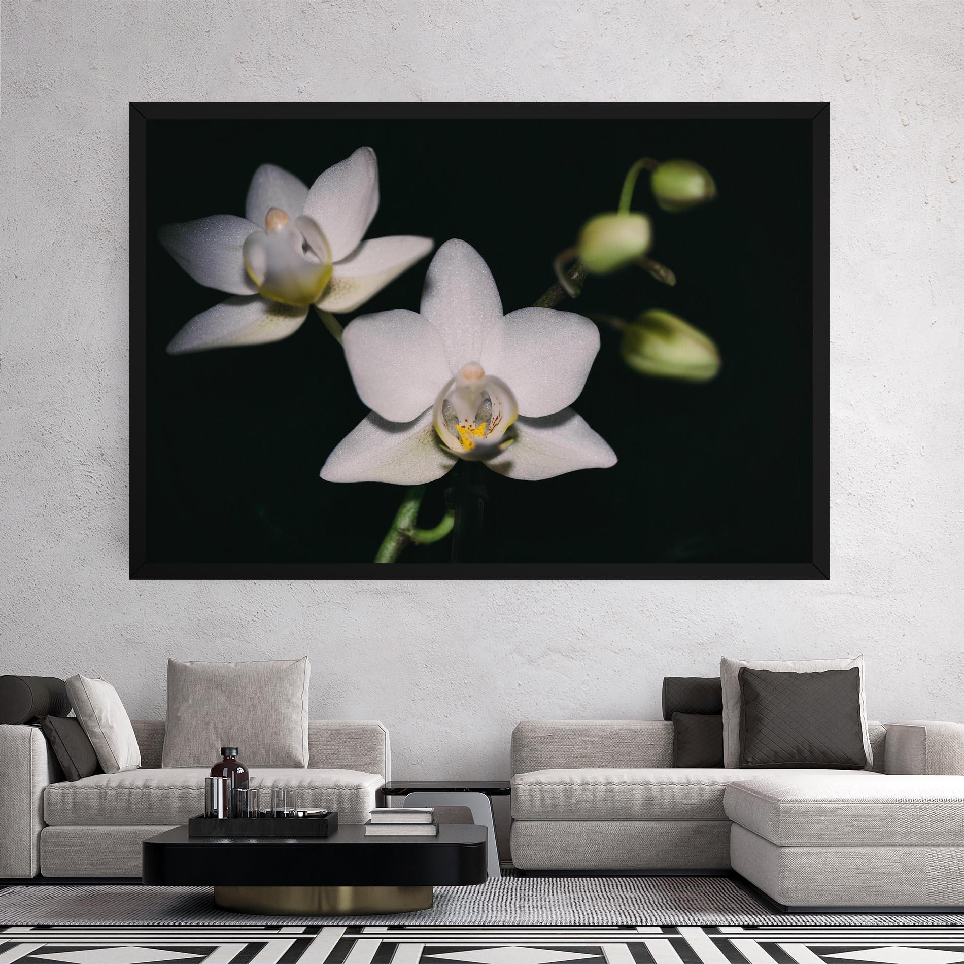 Leinwandbild Orchids On Black mockup 2