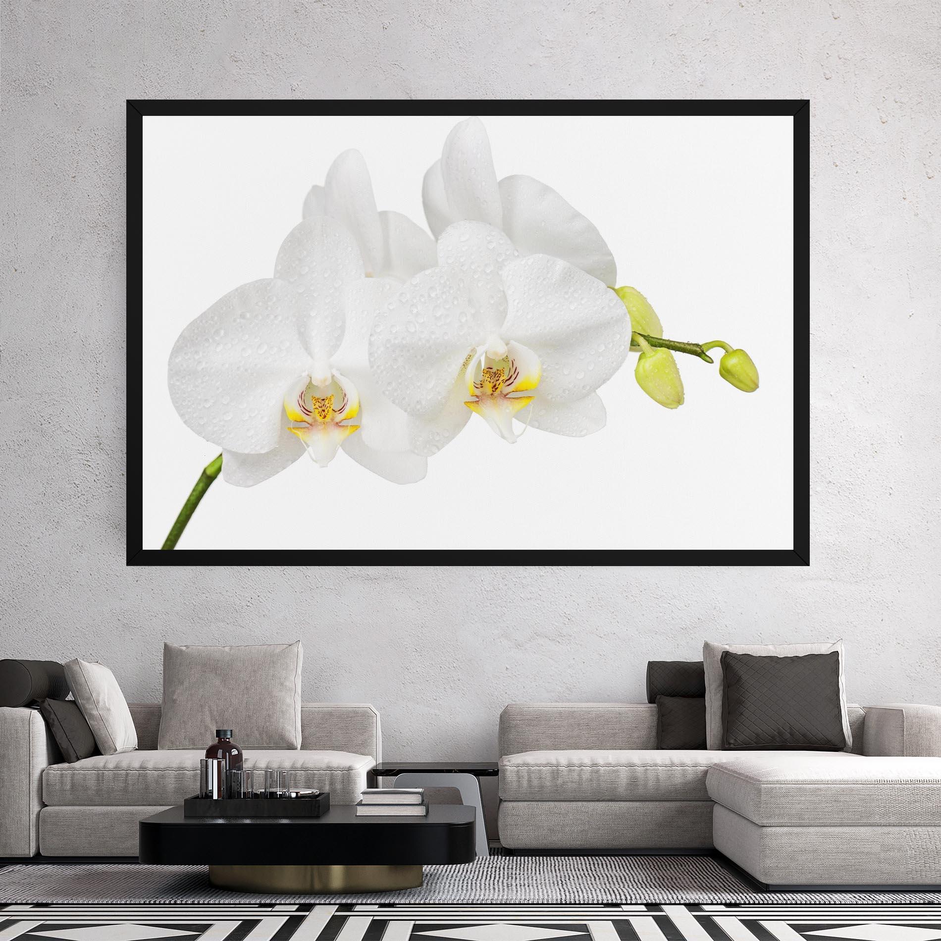 Leinwandbild Orchids On White mockup 2