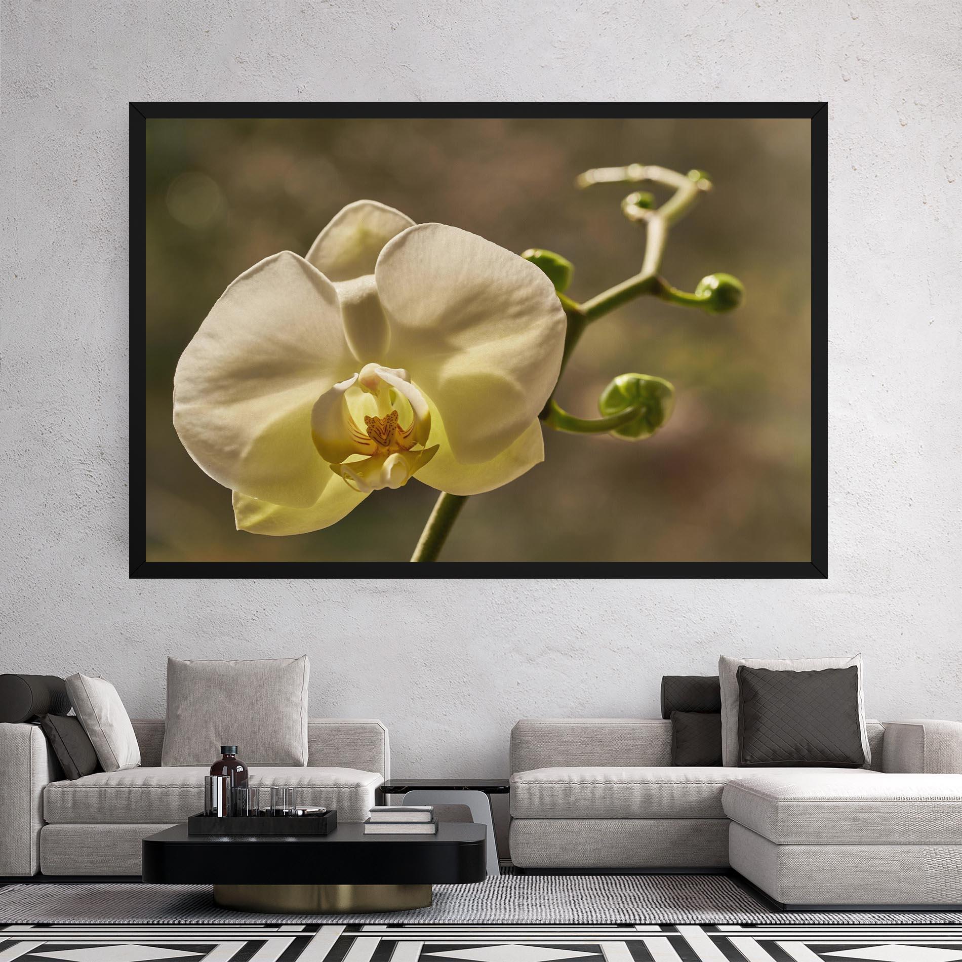 Leinwandbild Pastel Yellow Orchid In Garden mockup 2