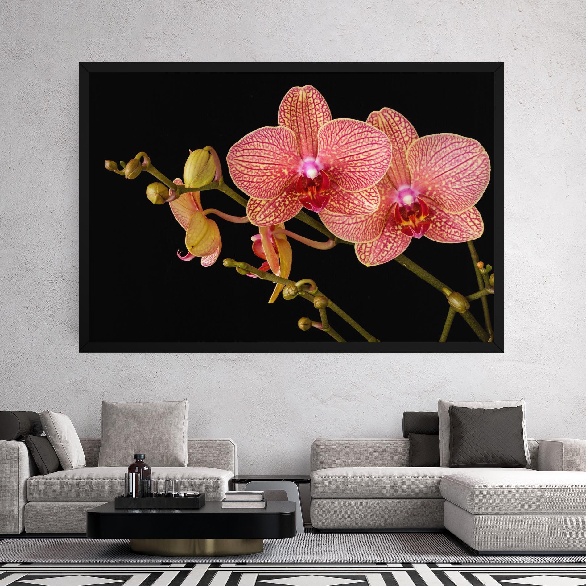 Leinwandbild Pink Orchids On Black mockup 2