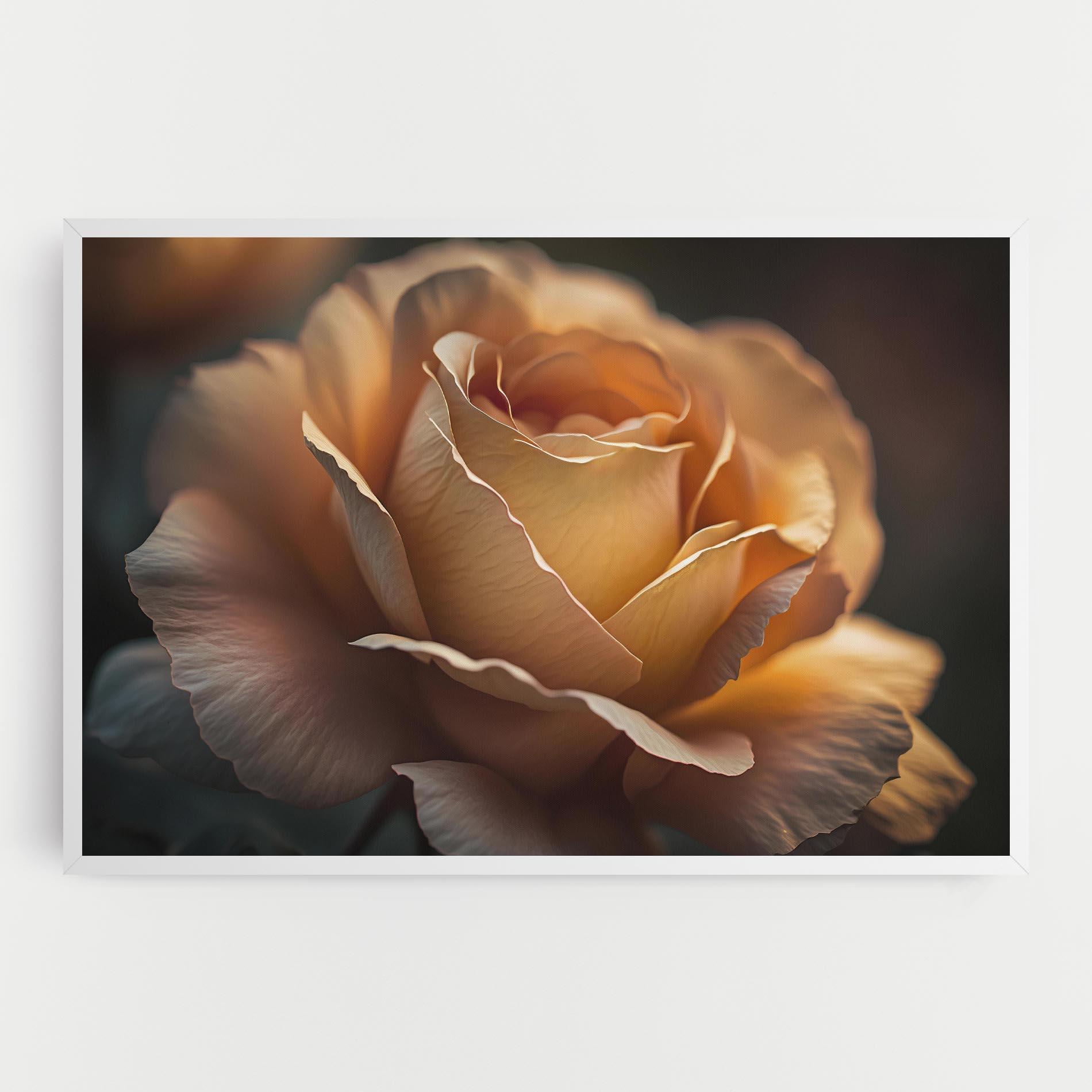 Leinwandbild Light Orange Rose Close Up mockup 0