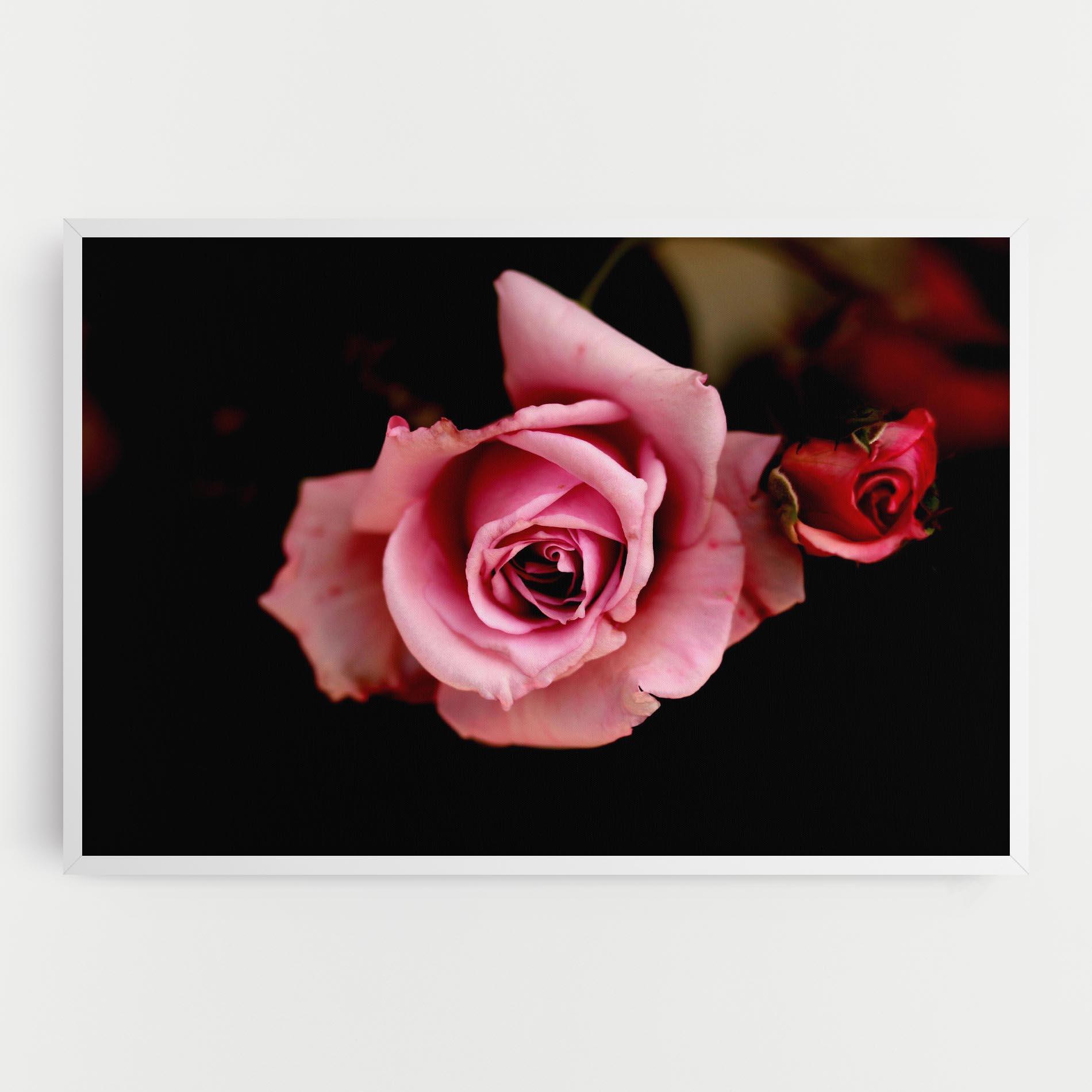 Leinwandbild Opened Pink Rose mockup 0