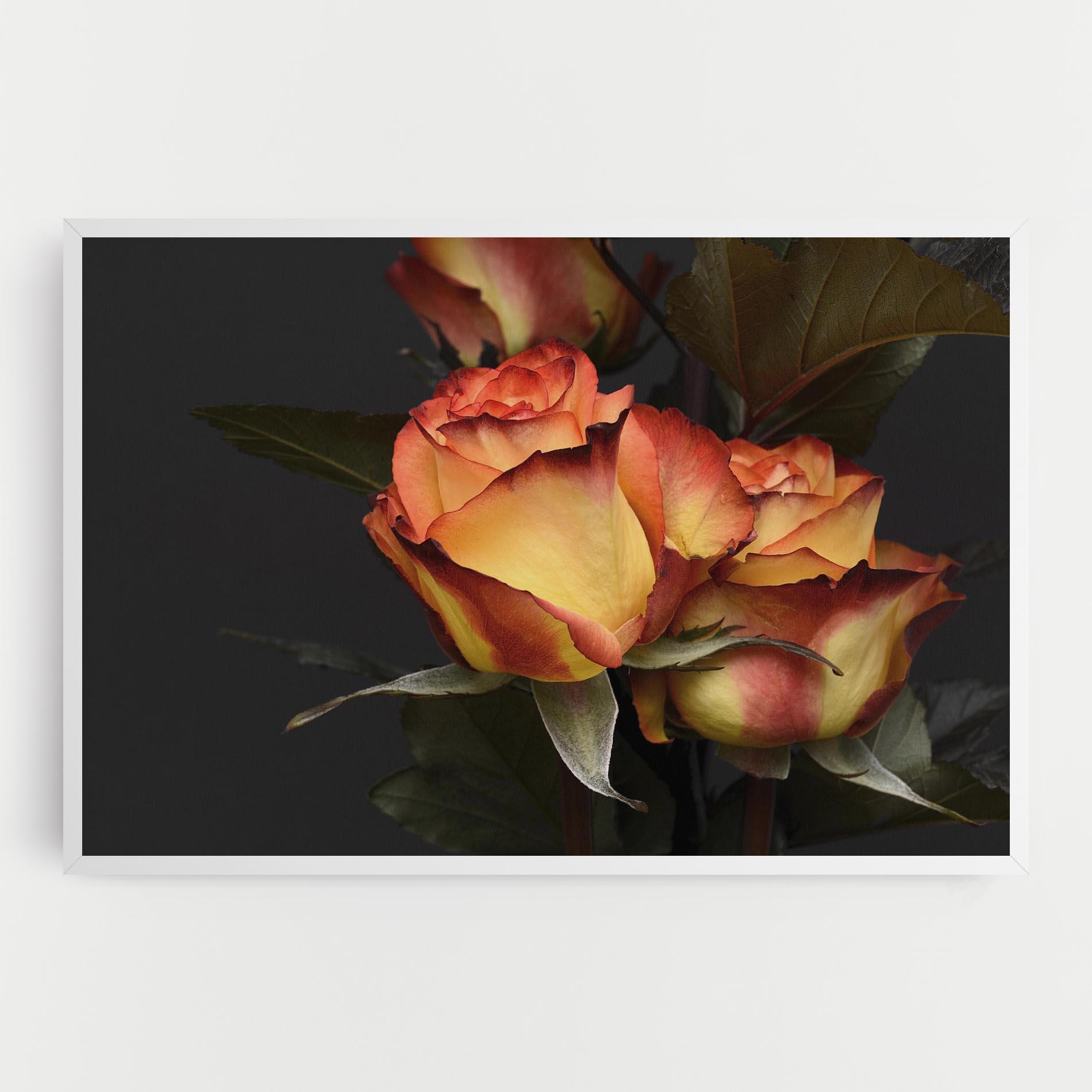 Leinwandbild Orange Rose mockup 0